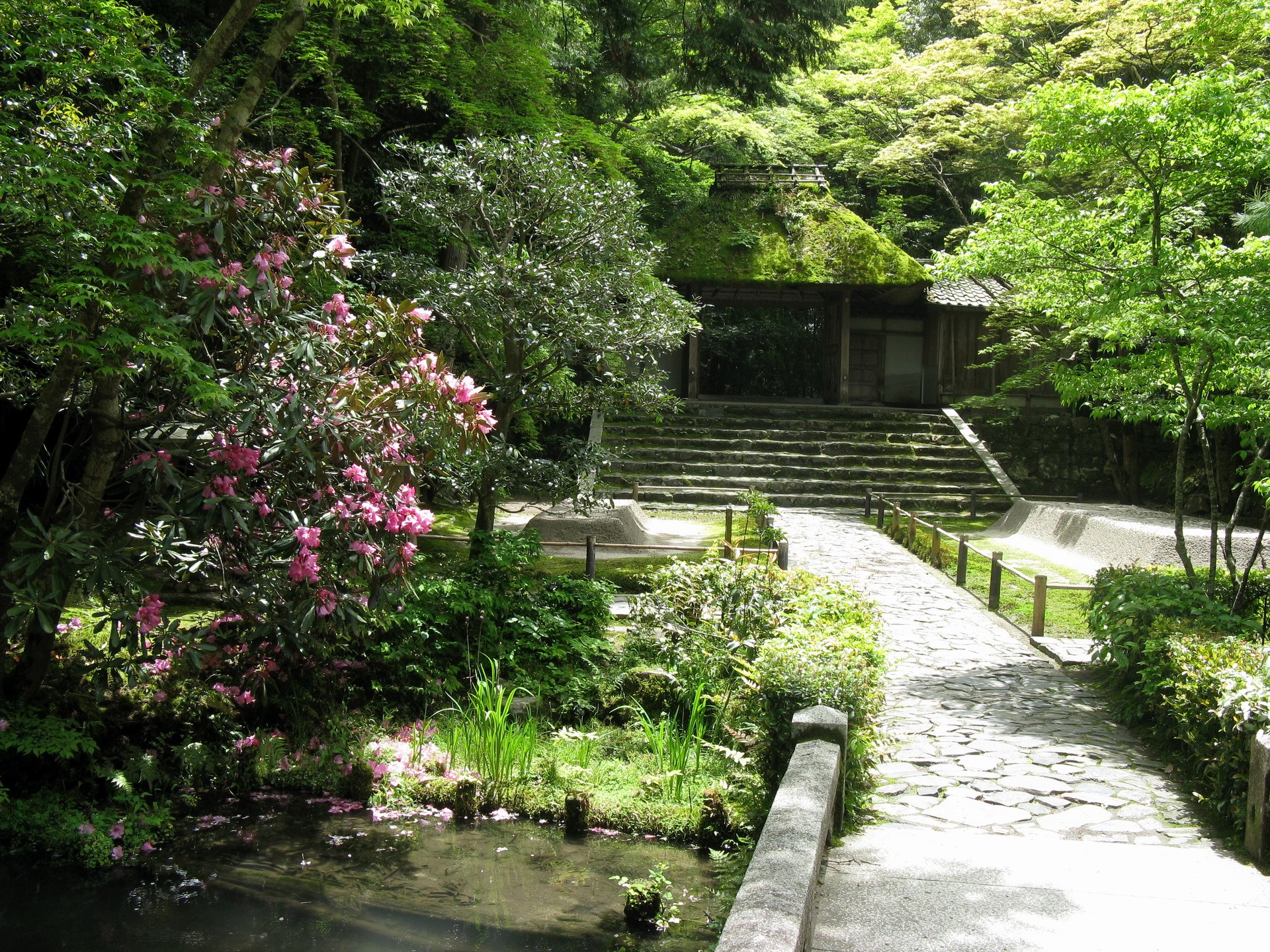 Japanese Garden with Rhododendrons and Traditional Building HD Wallpaper