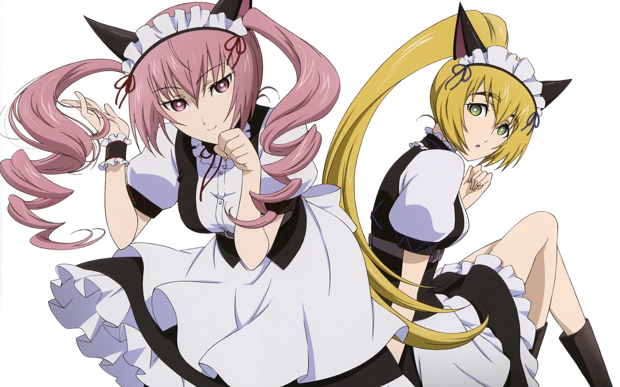 Kurisu Makise and Rumiho Akiha from Steins;Gate HD Wallpaper