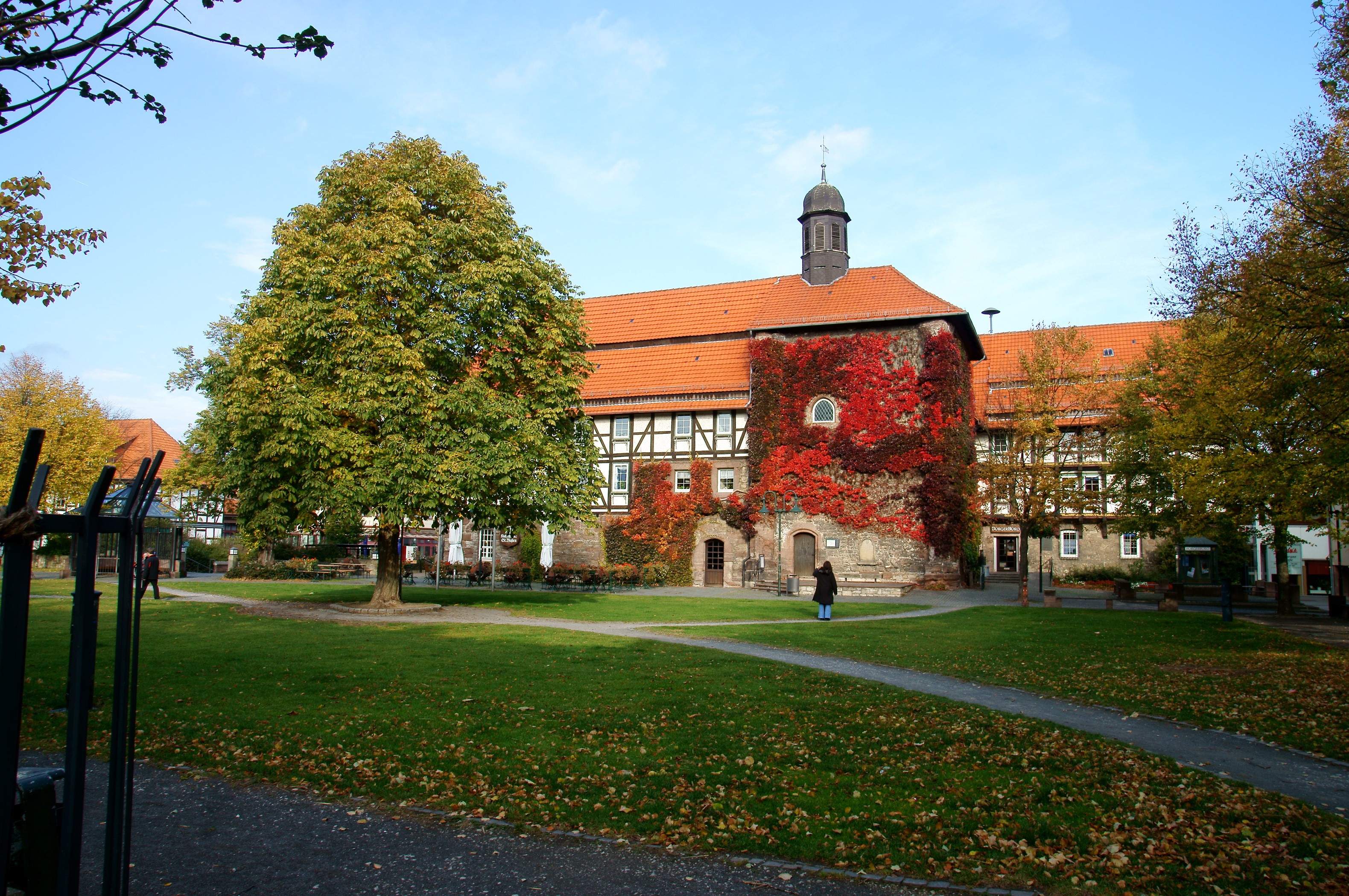 Building with red ivy and tower in Germany HD Wallpaper