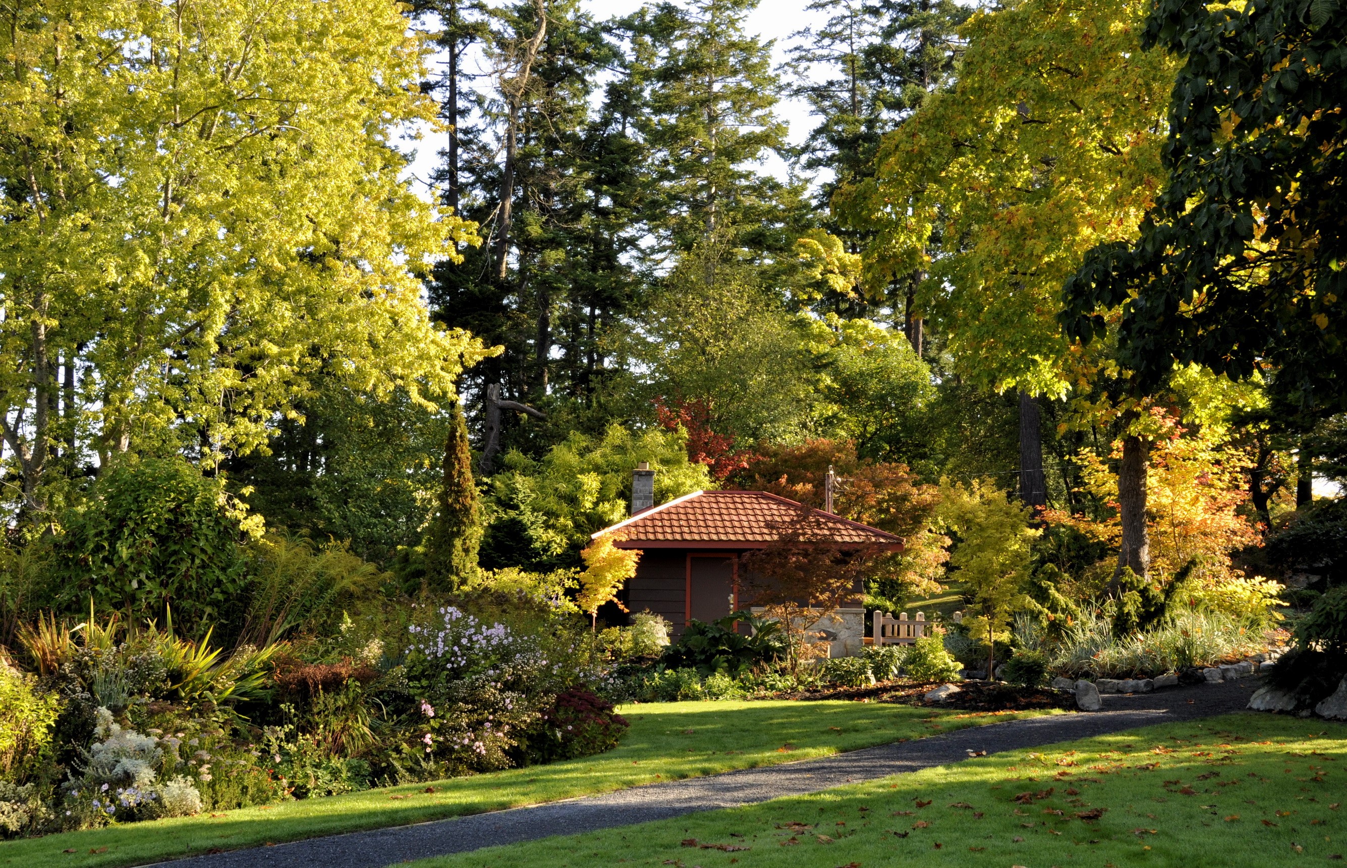 Park with a small building and autumn trees HD Wallpaper