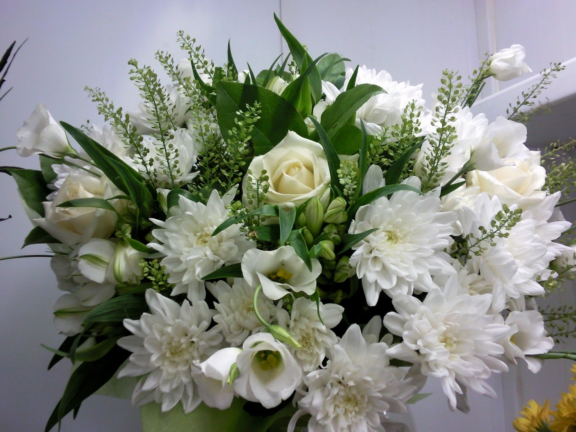 White Flower Bouquet HD Wallpaper