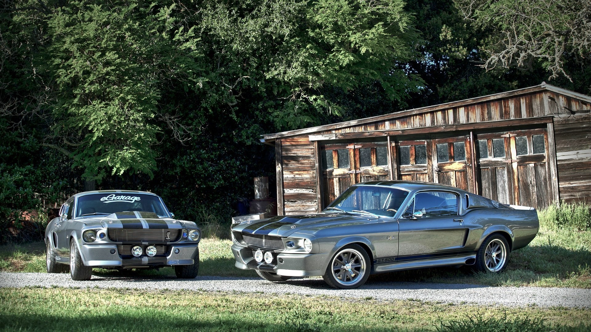 Two Ford Mustang Shelby GT500s parked outside a barn HD Wallpaper