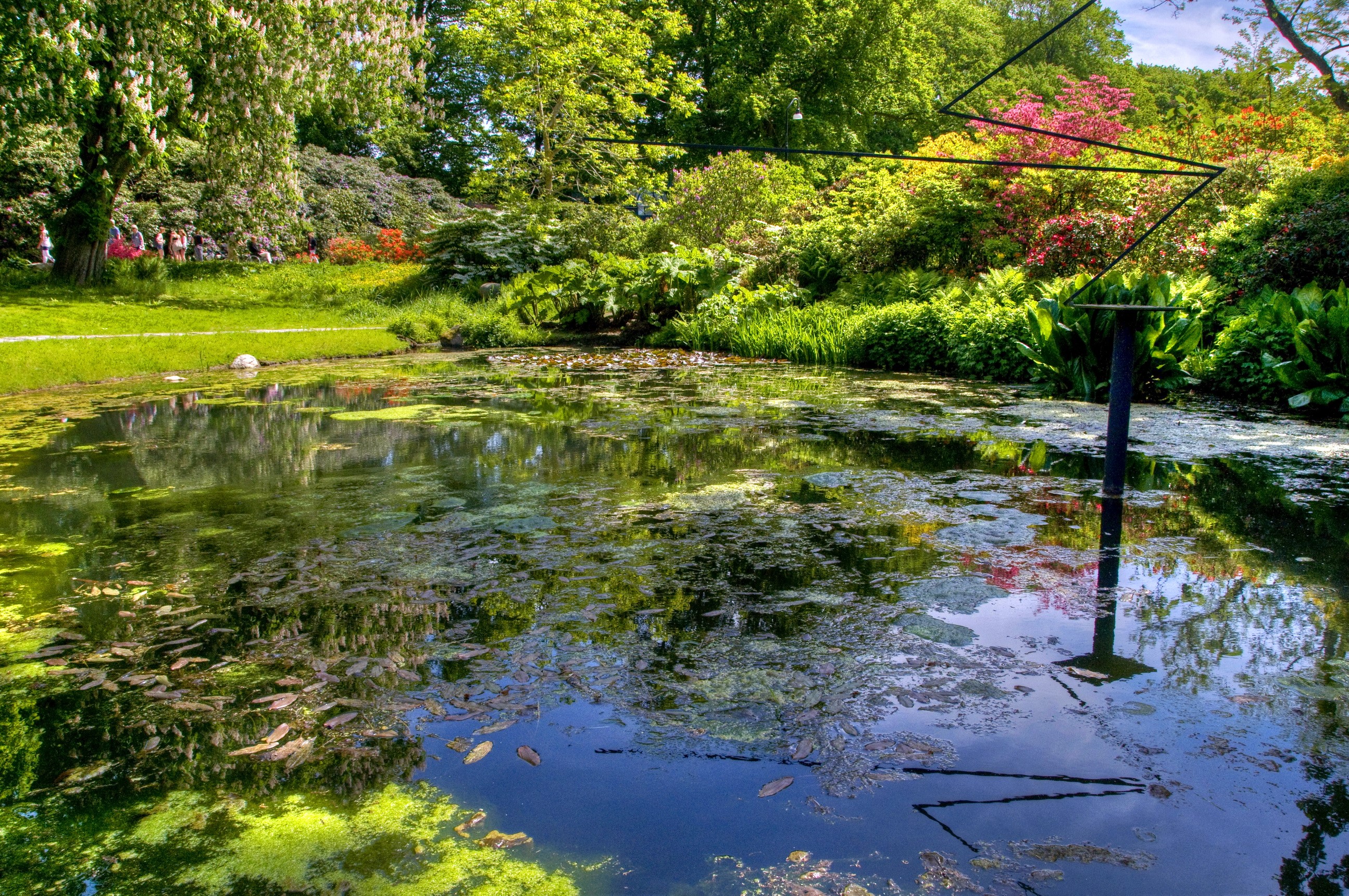Gardens of Sofiero Castle, Sweden, with a pond HD Wallpaper