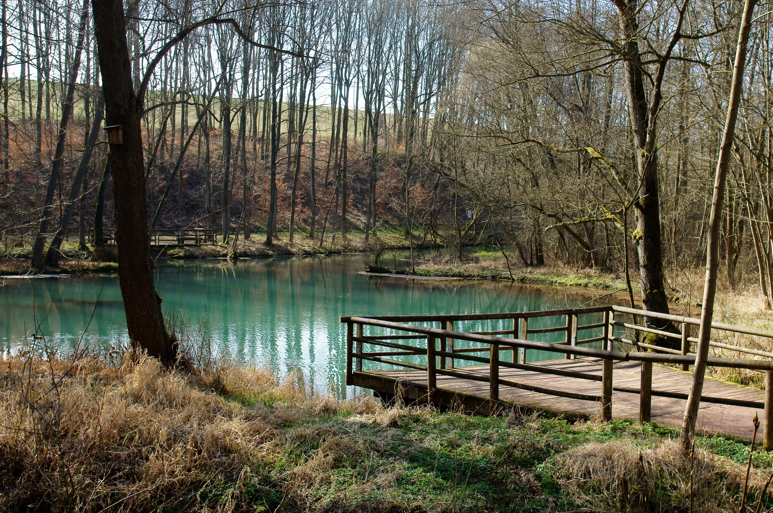 Wooden pier on a turquoise lake surrounded by trees HD Wallpaper