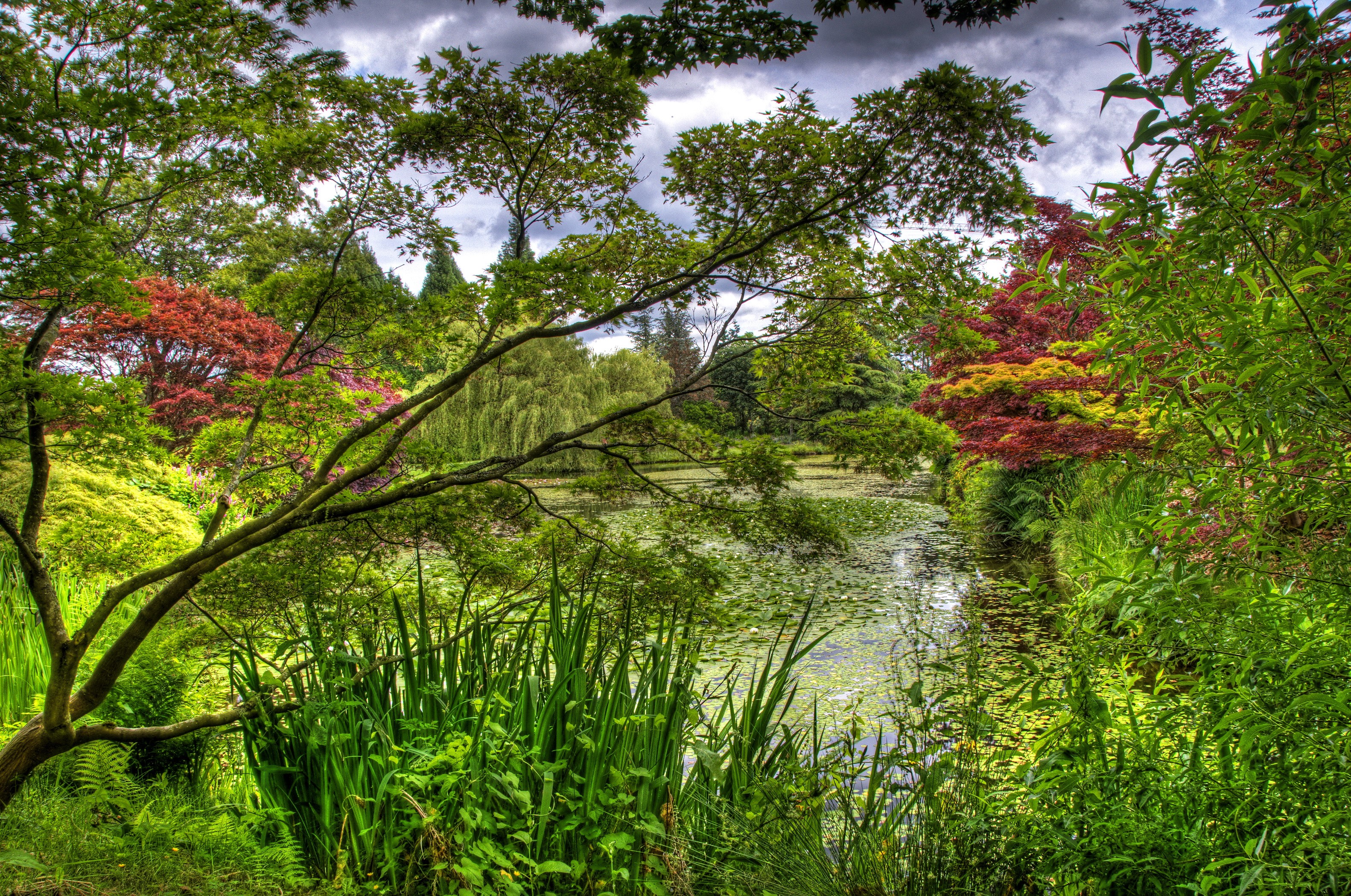 VanDusen Botanical Garden Vancouver pond with trees HD Wallpaper