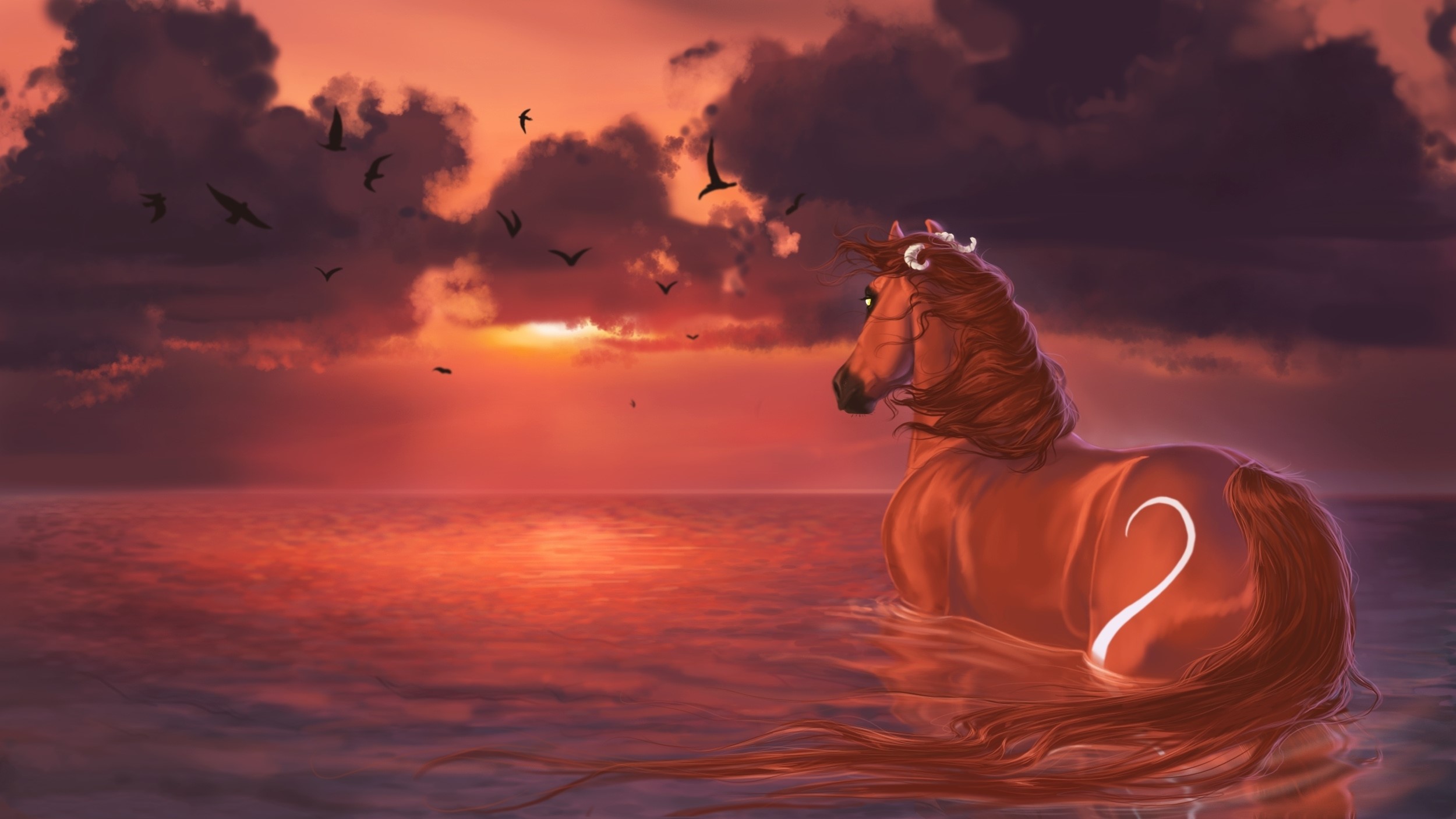 Brown horse with a white crescent moon marking in the water at sunset HD Wallpaper