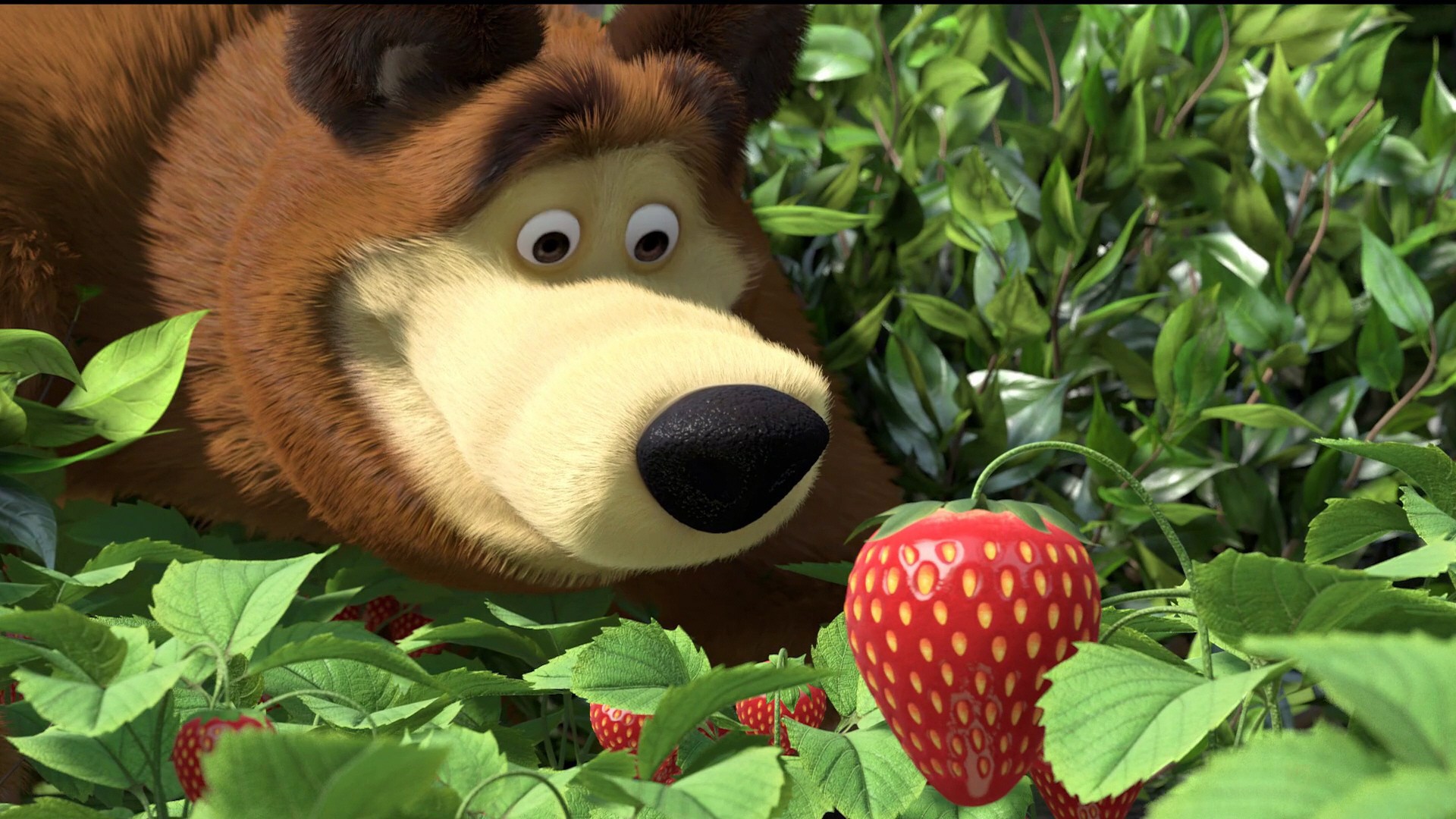 Bear from Masha and the Bear looking at a strawberry HD Wallpaper