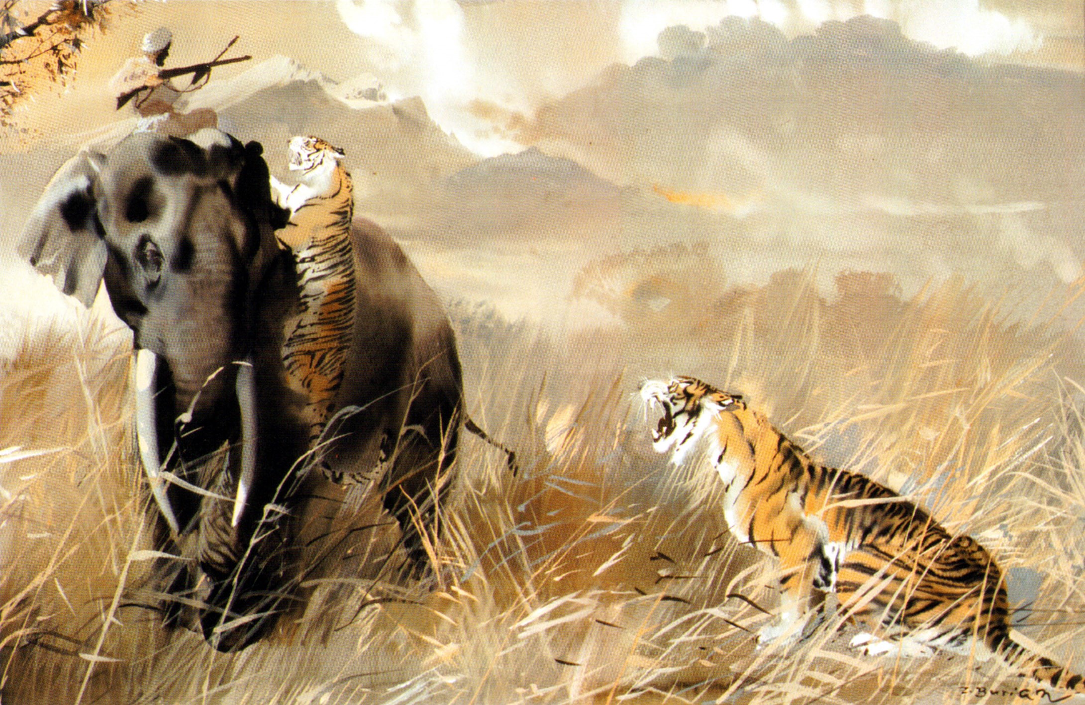 Elephant hunt with tigers and hunter in jungle HD Wallpaper