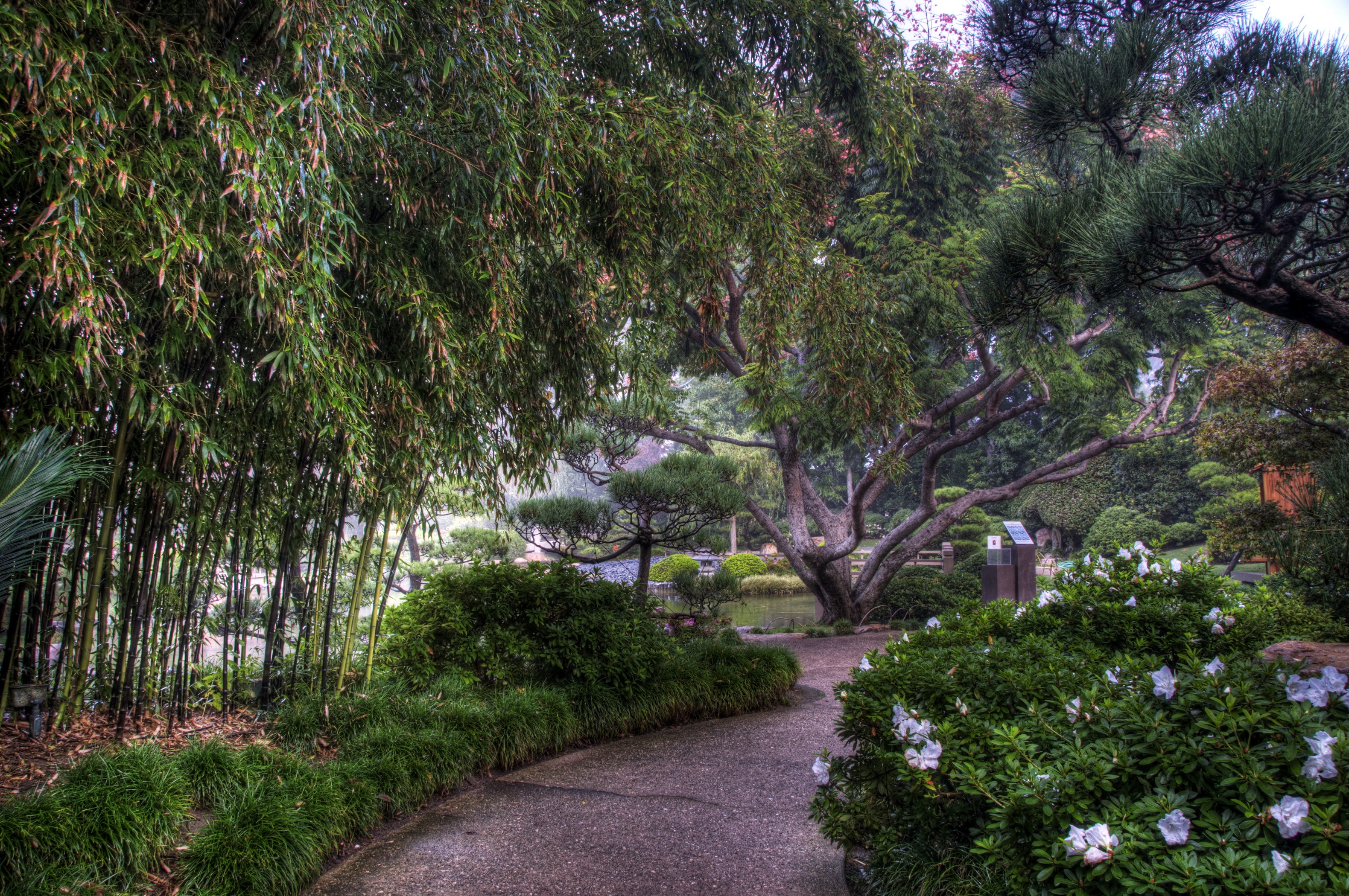 Earl Burns Miller Japanese Garden in California, USA HD Wallpaper