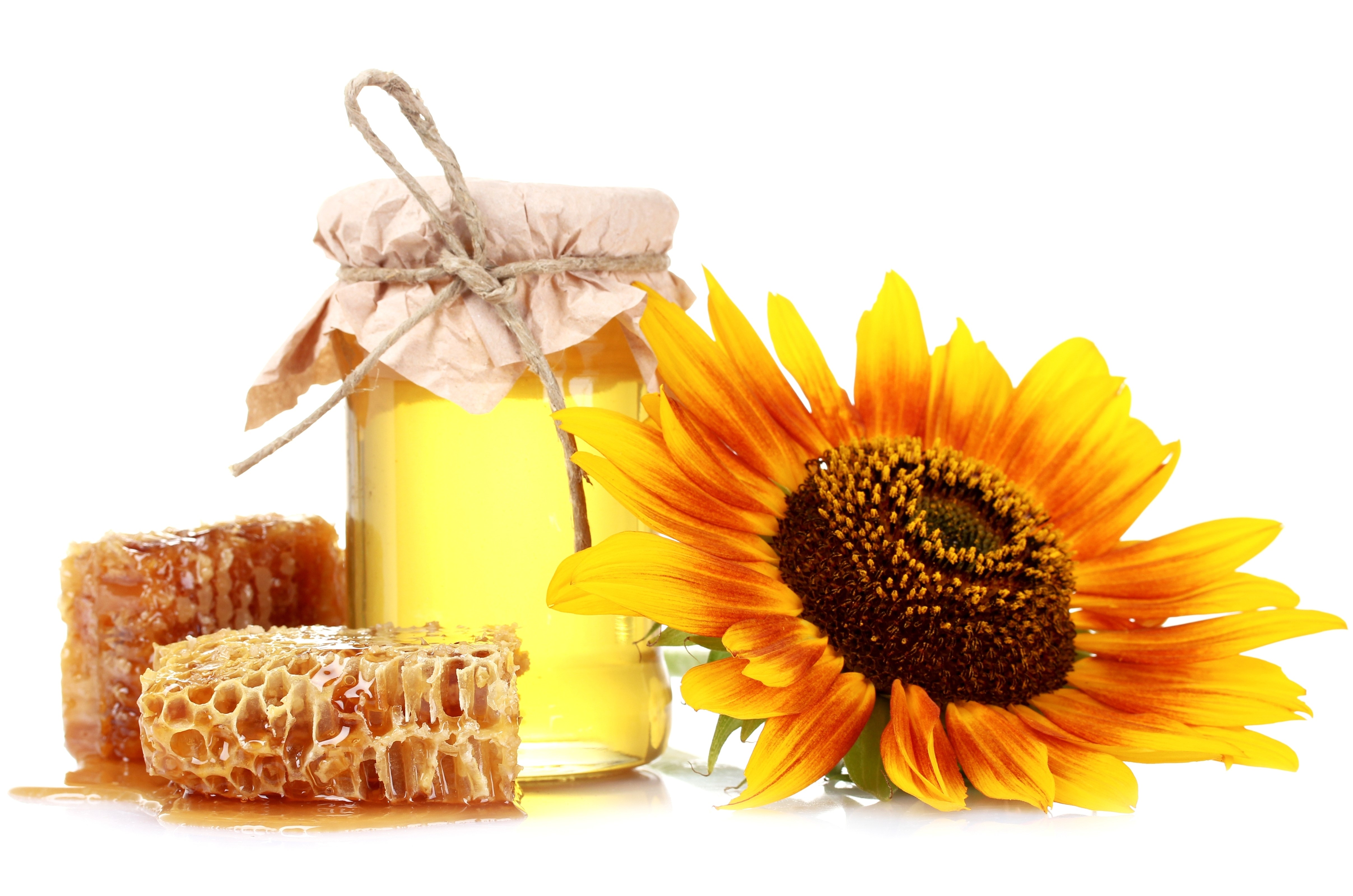 Honey jar with honeycomb and sunflower HD Wallpaper