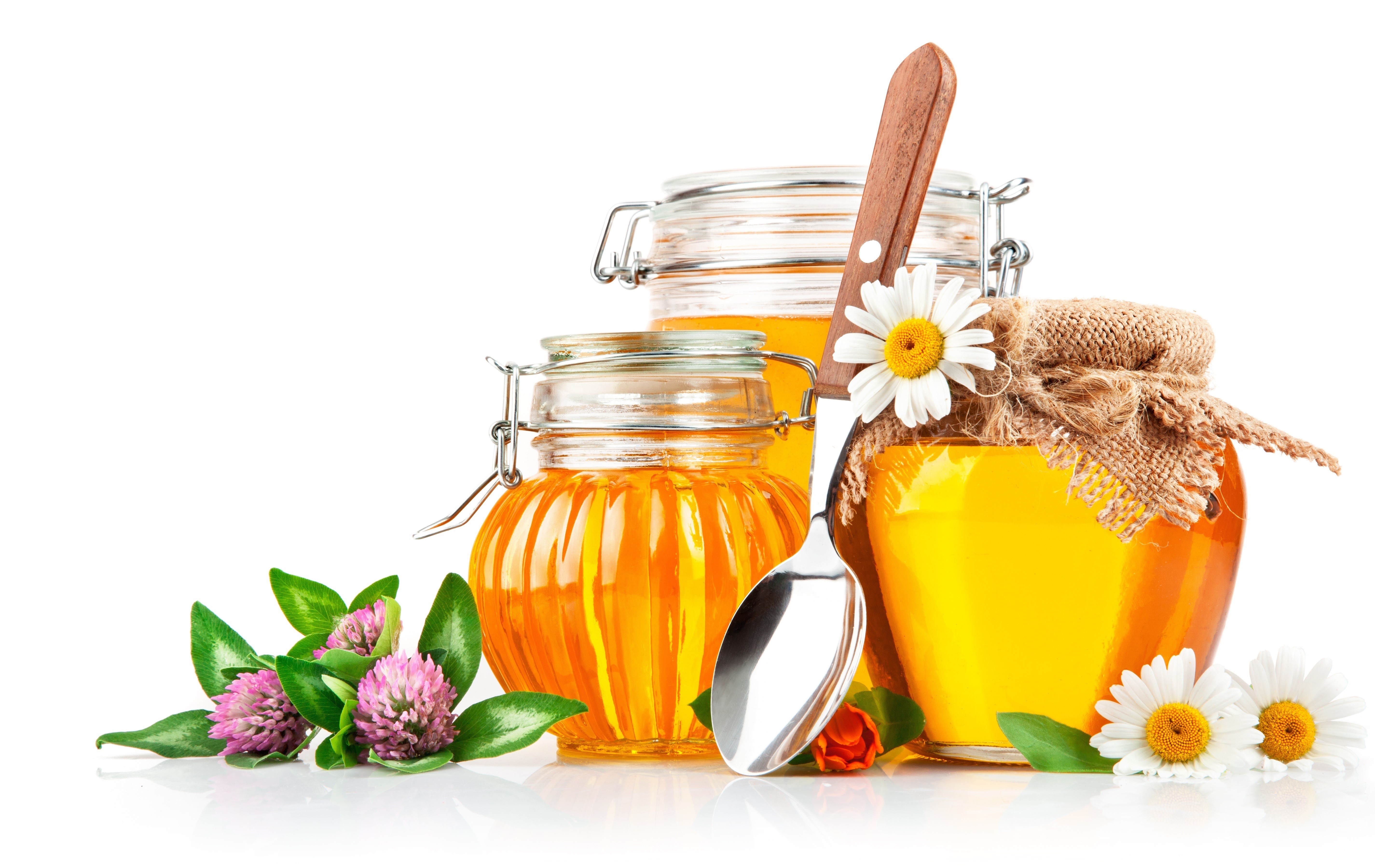 Honey in jars with flowers and spoon HD Wallpaper