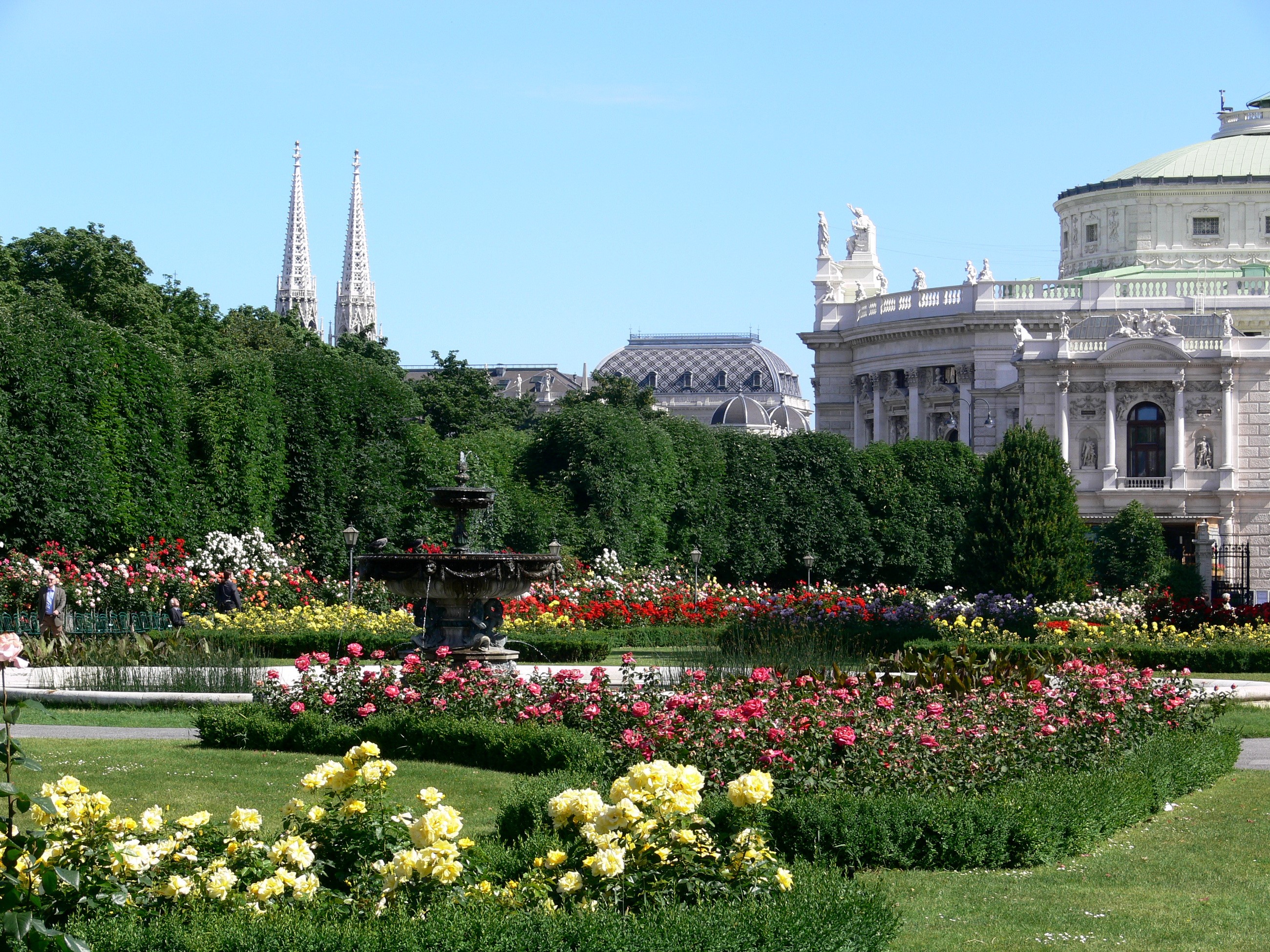Volksgarten park with roses and fountain in Vienna HD Wallpaper