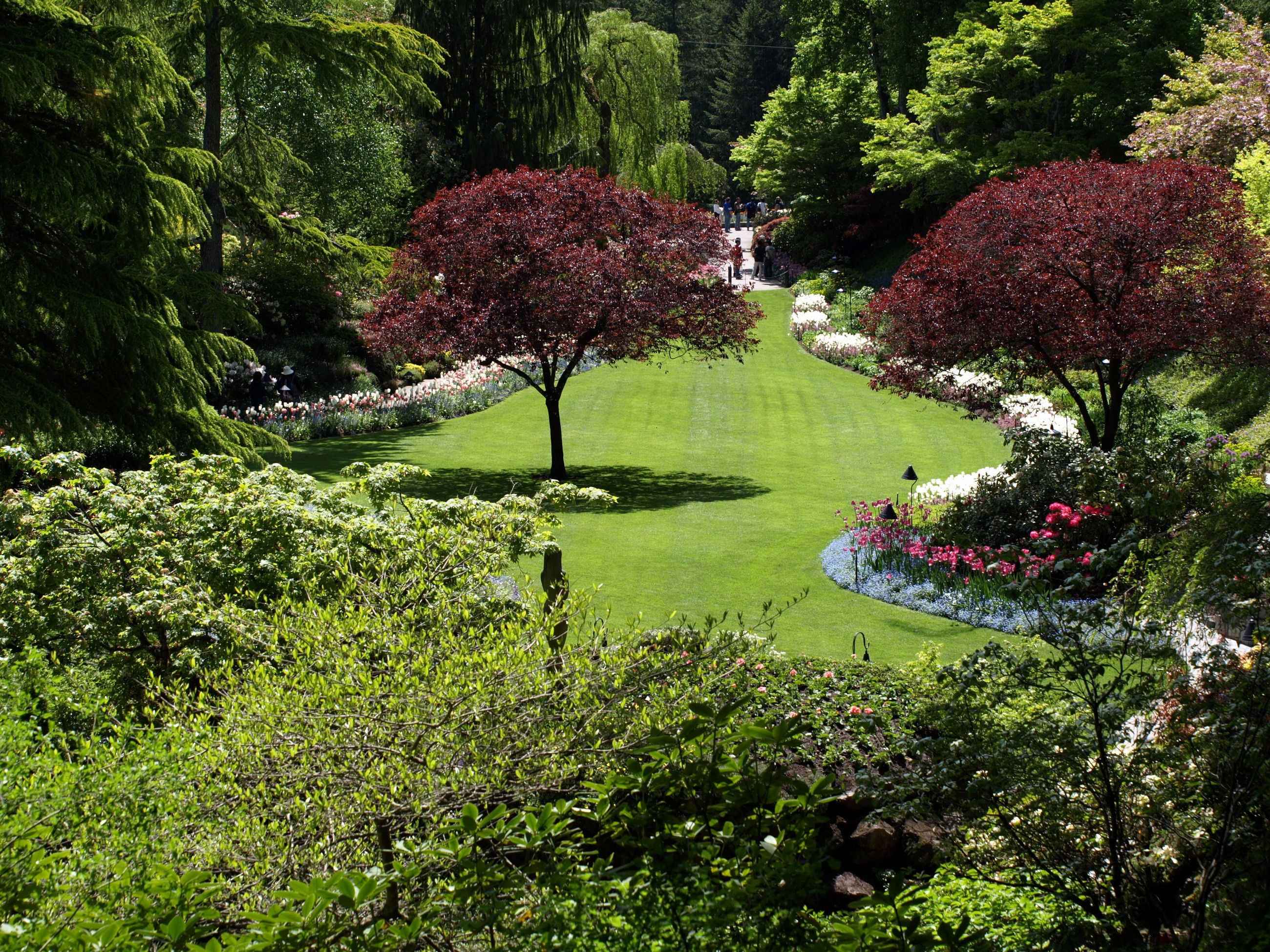 Butchart Gardens Victoria, Canada HD Wallpaper