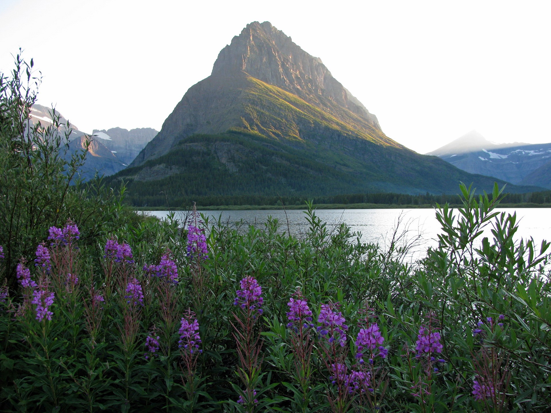 Swiftcurrent Lake and Mountains in Glacier National Park HD Wallpaper