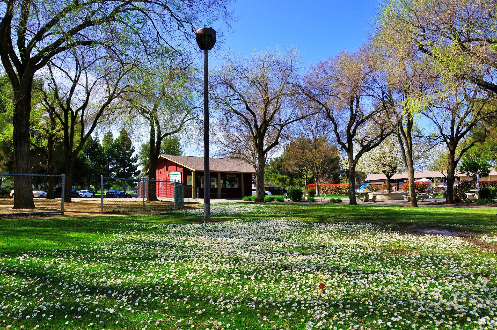 Park with a red building and trees in Fremont, USA HD Wallpaper