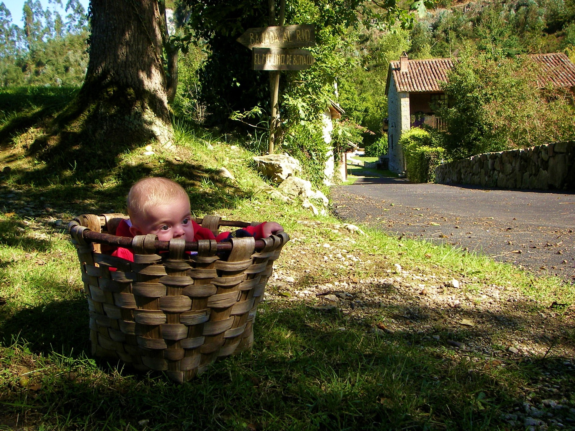 Baby in a wicker basket outdoors HD Wallpaper