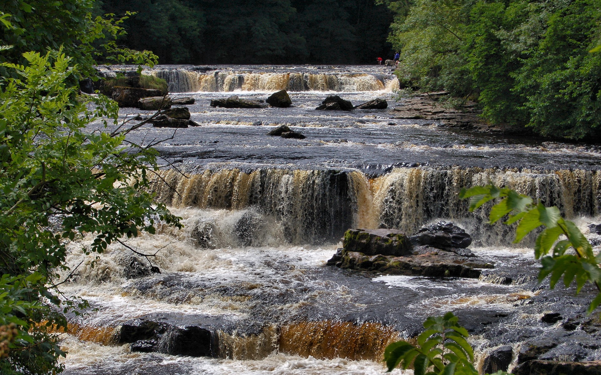 Waterfalls flowing over rocks in a forest HD Wallpaper