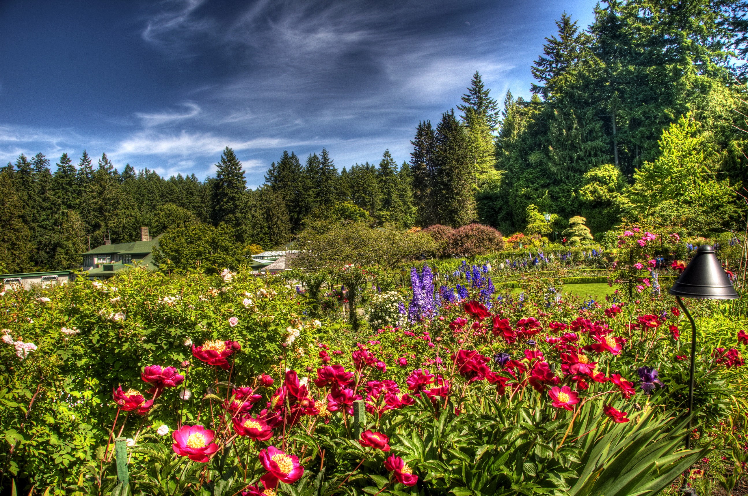 Beautiful Garden with Red and Pink Flowers and Trees HD Wallpaper