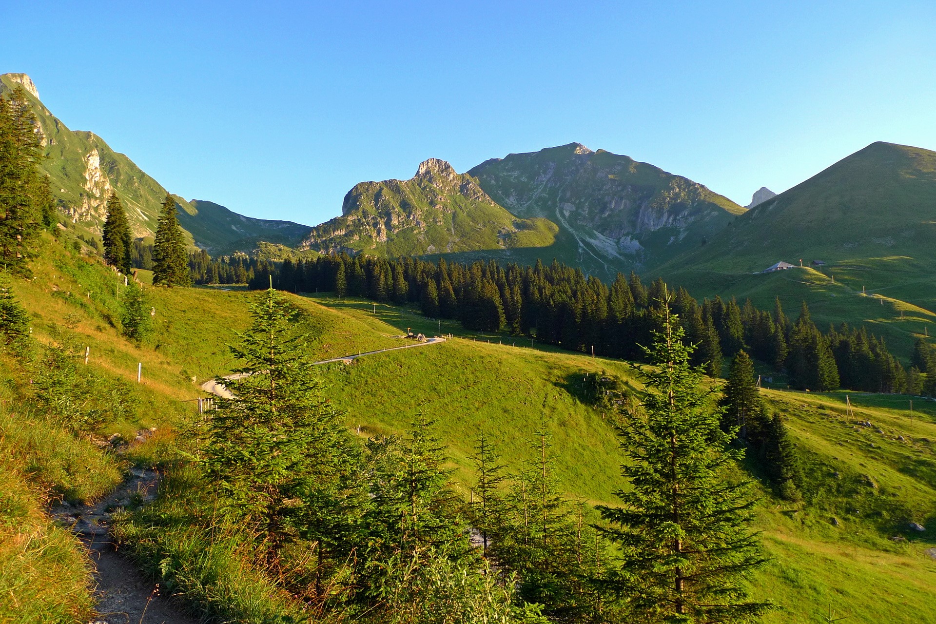 Gantrisch Switzerland mountain landscape with trees and path HD Wallpaper