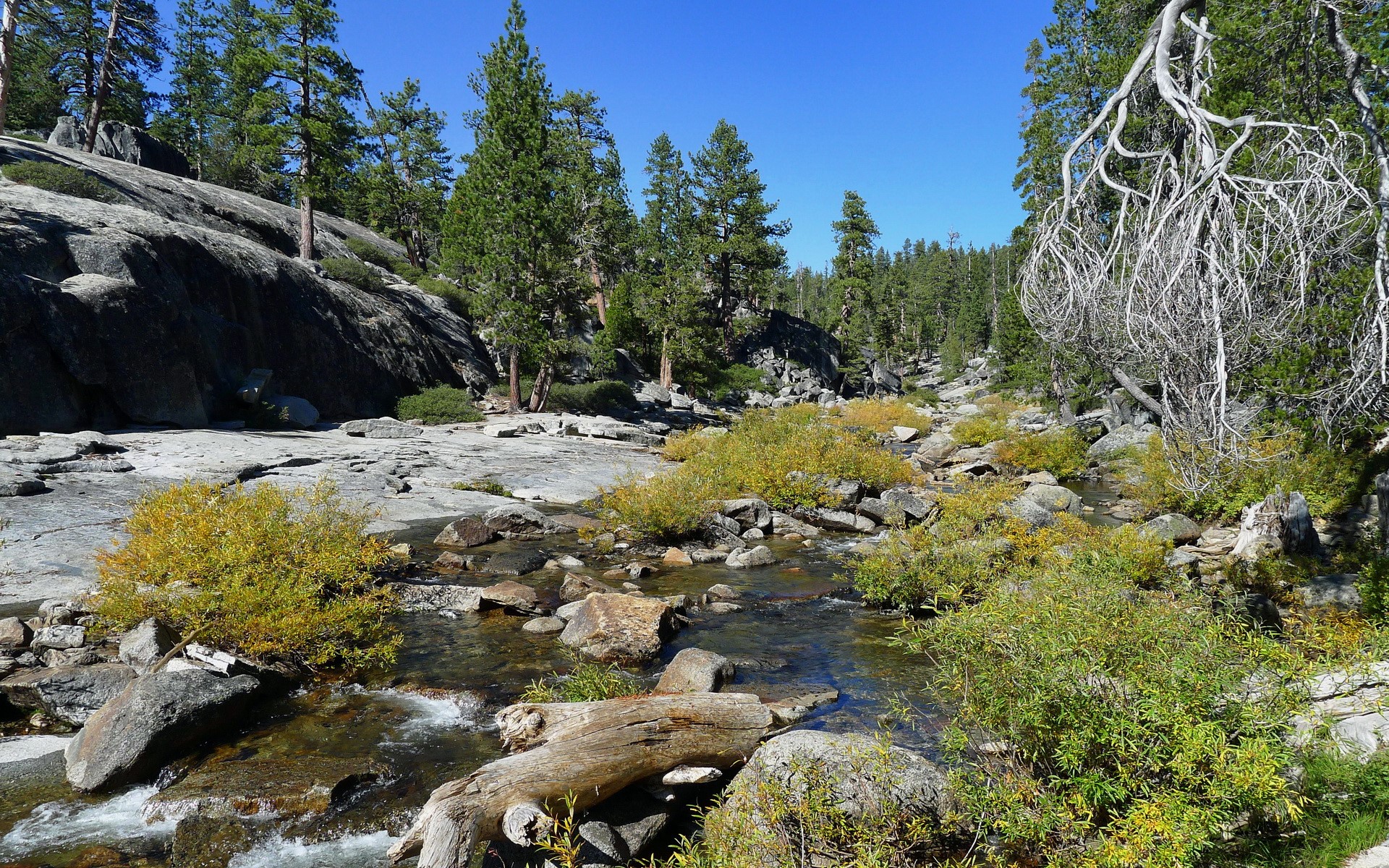 Yosemite National Park, California, USA HD Wallpaper