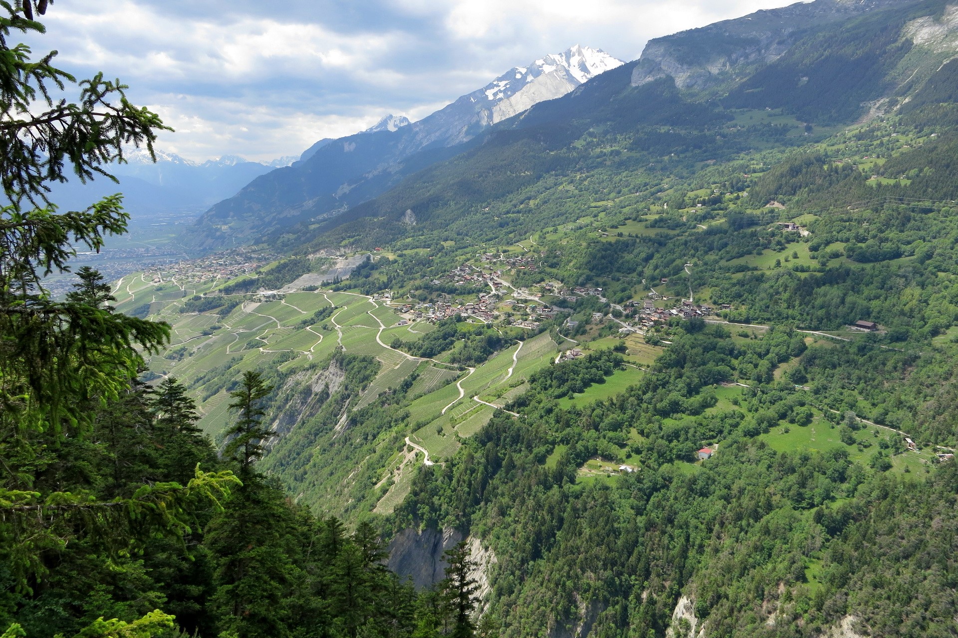 Vineyards and mountains in Saviese, Switzerland HD Wallpaper