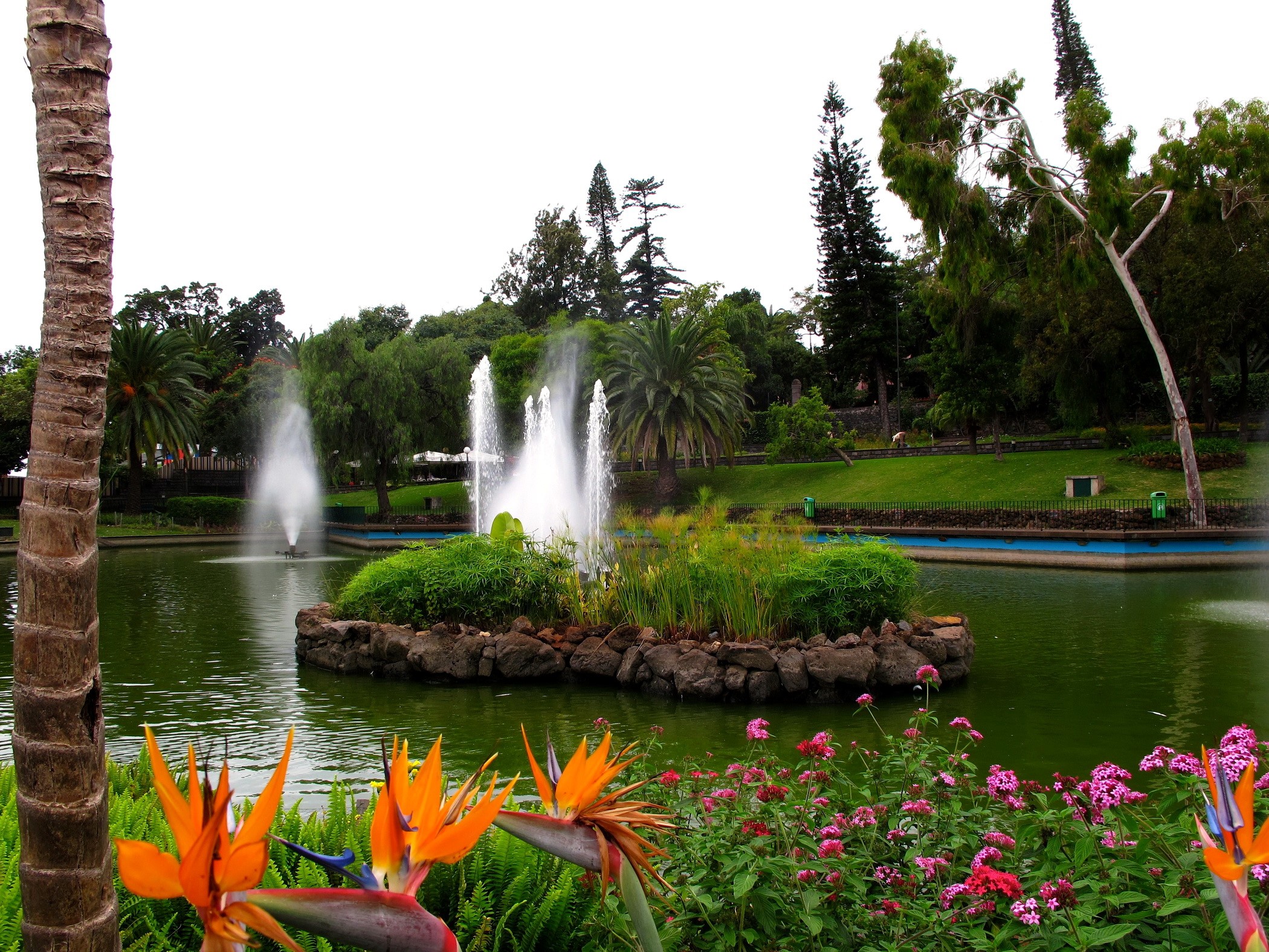 Park with pond and fountains HD Wallpaper