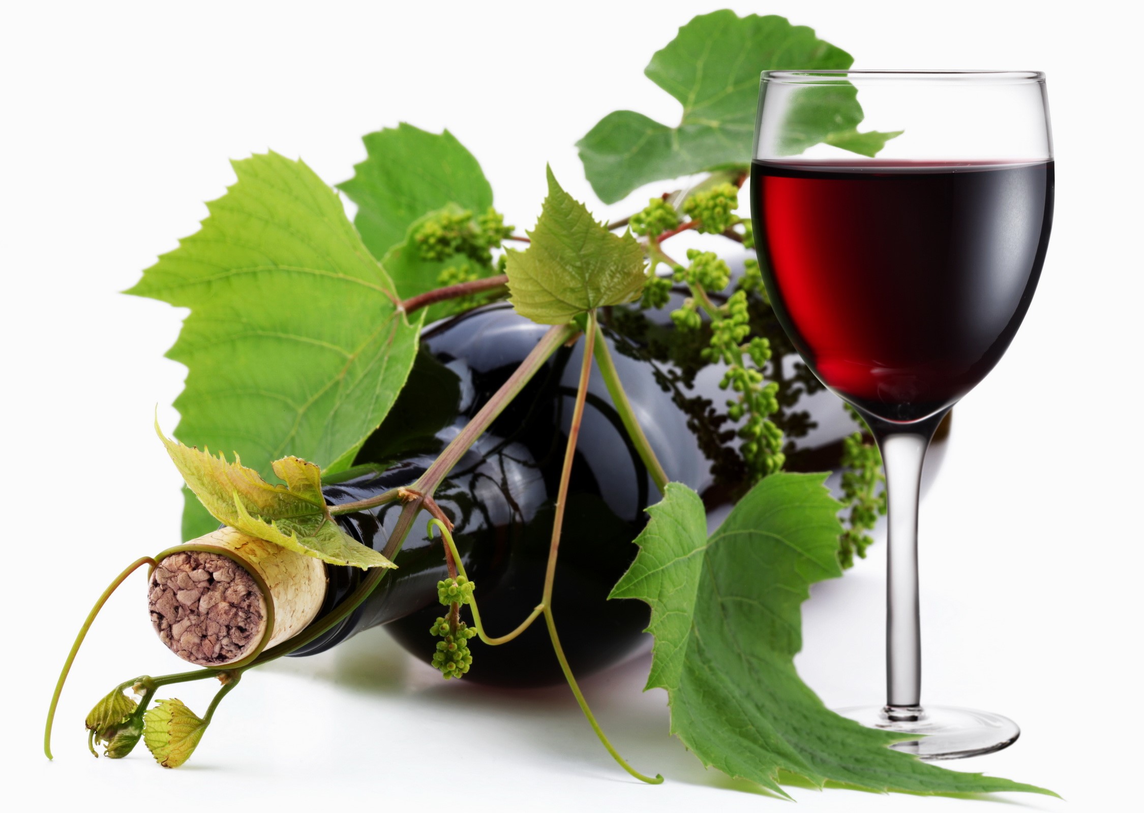 Bottle of red wine with a glass and grape leaves HD Wallpaper