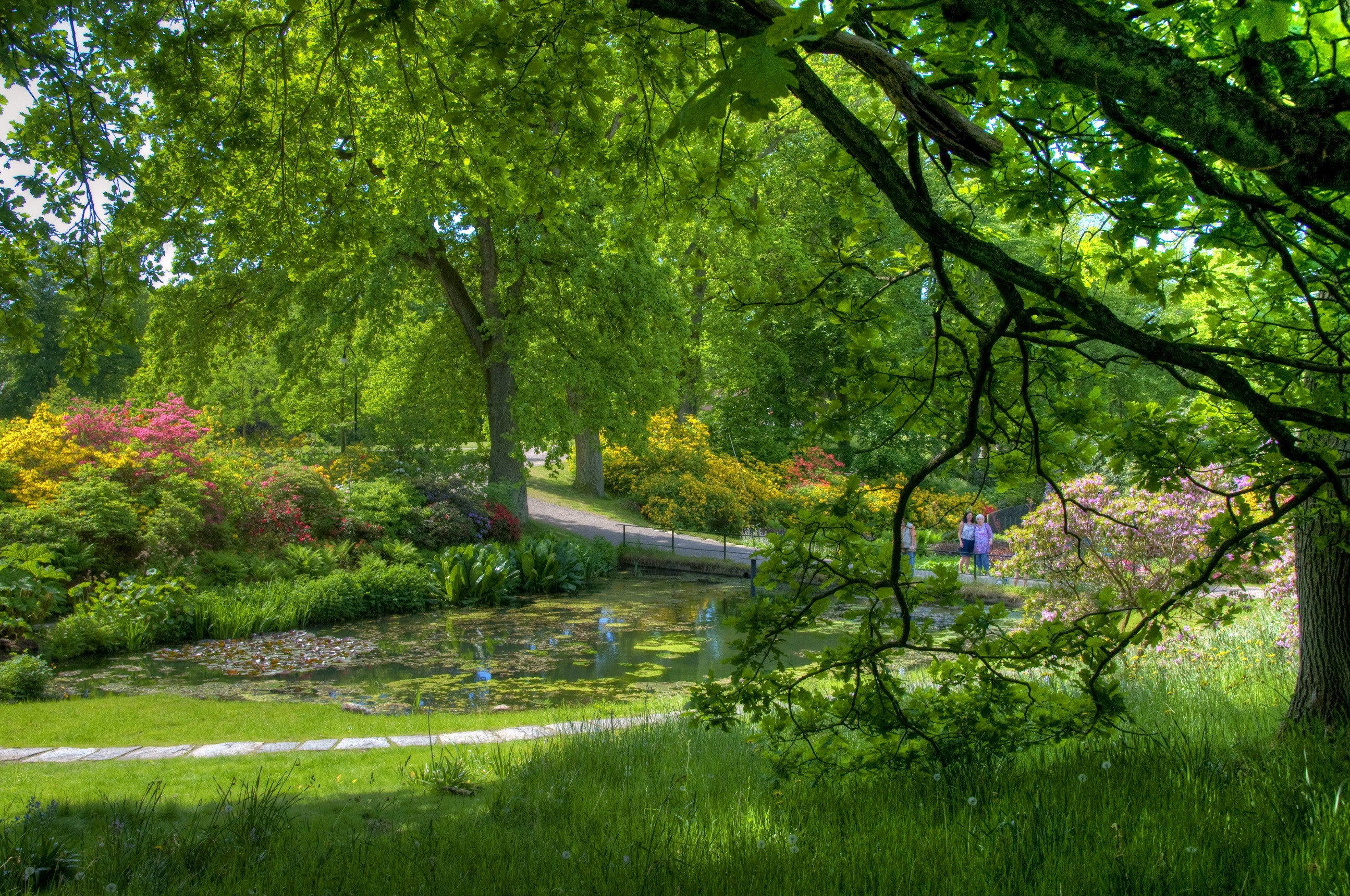 Sofiero Castle Gardens in Helsingborg, Sweden with pond HD Wallpaper