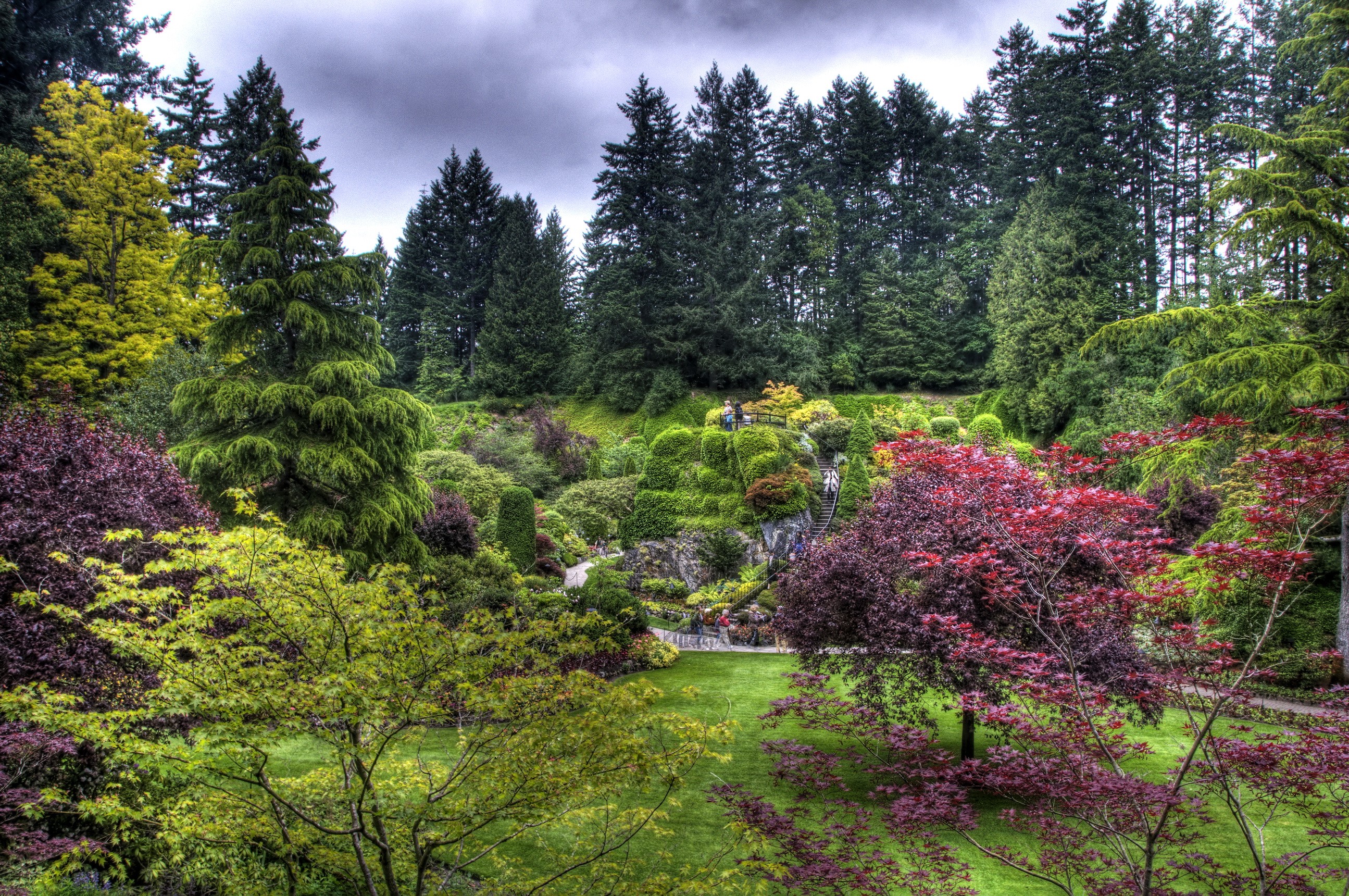 Beautifully manicured gardens with diverse trees and pathways HD Wallpaper