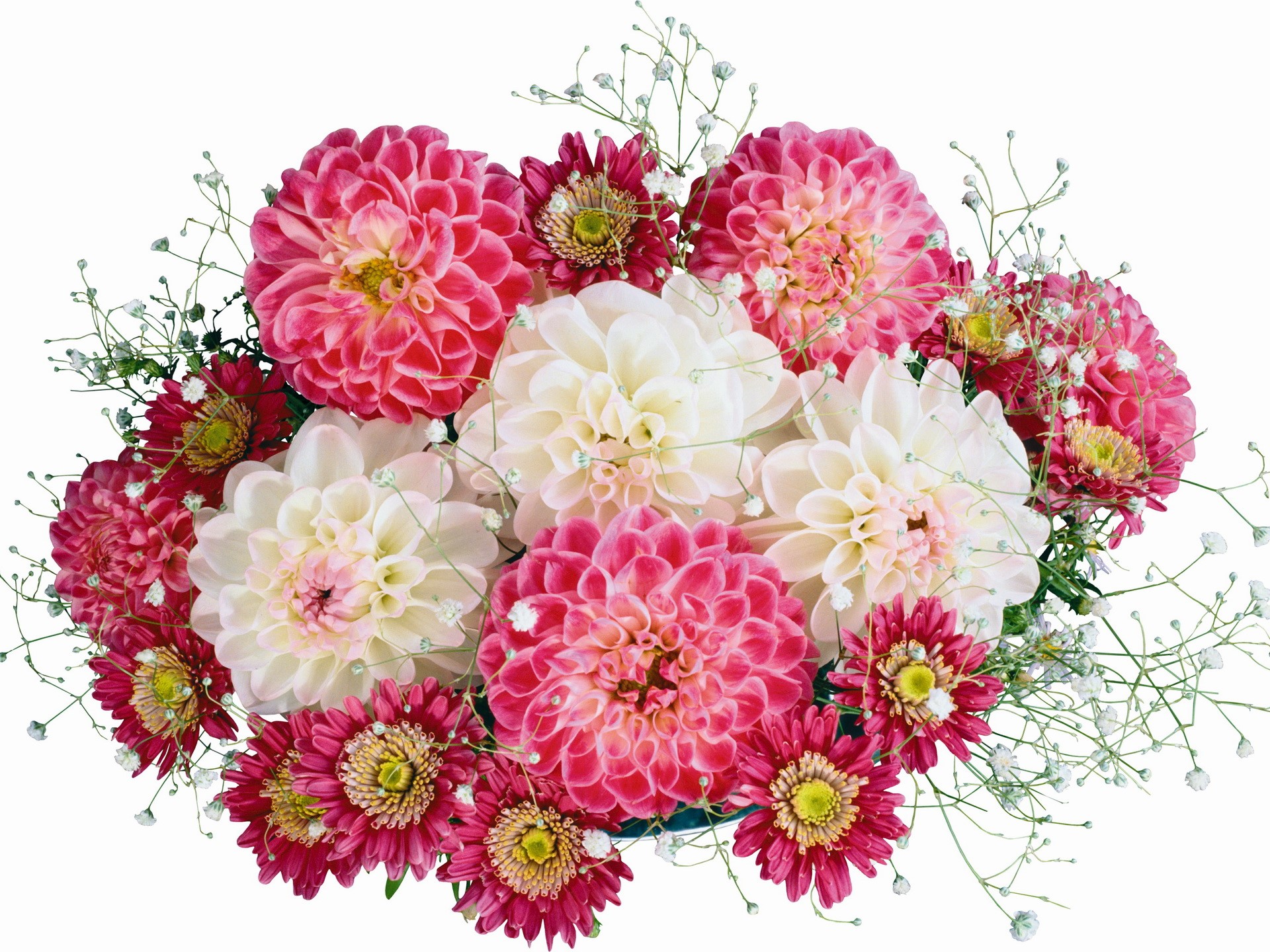 Bouquet of pink and white dahlias with baby's breath HD Wallpaper