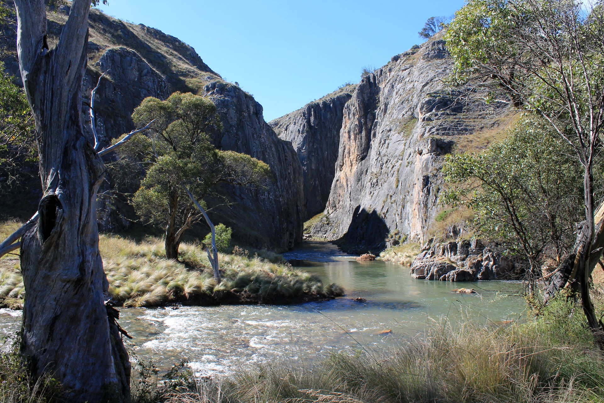 River flowing through a rocky canyon with trees HD Wallpaper
