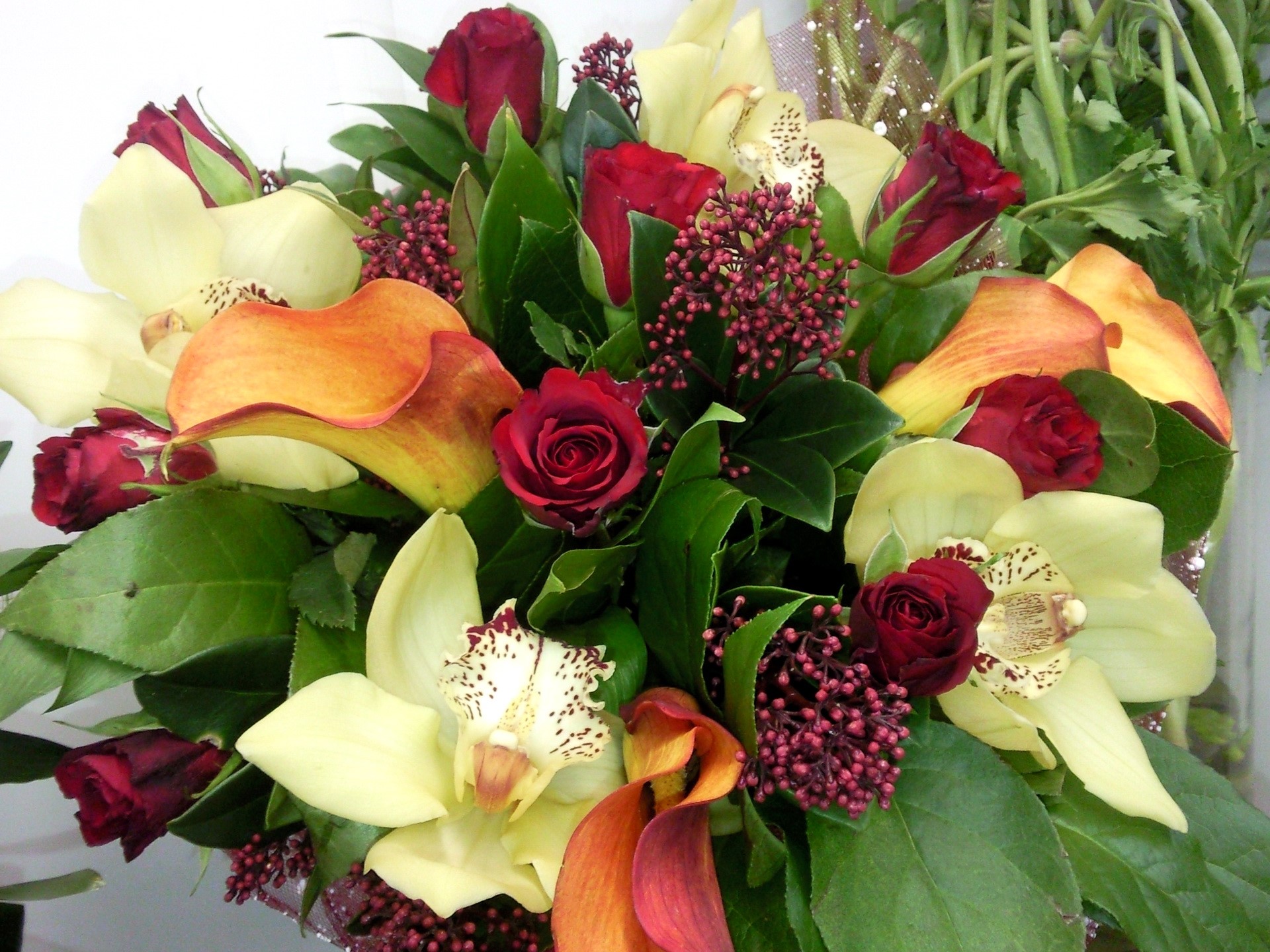 Bouquet of red roses, yellow orchids, and orange calla lilies HD Wallpaper