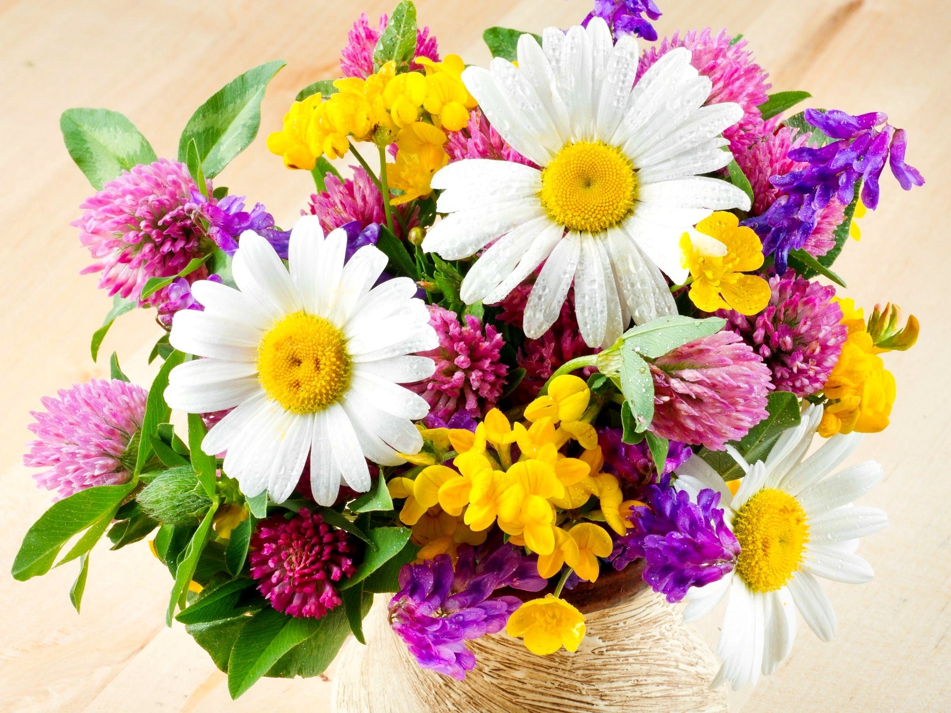 Bouquet of wildflowers with daisies and clover HD Wallpaper