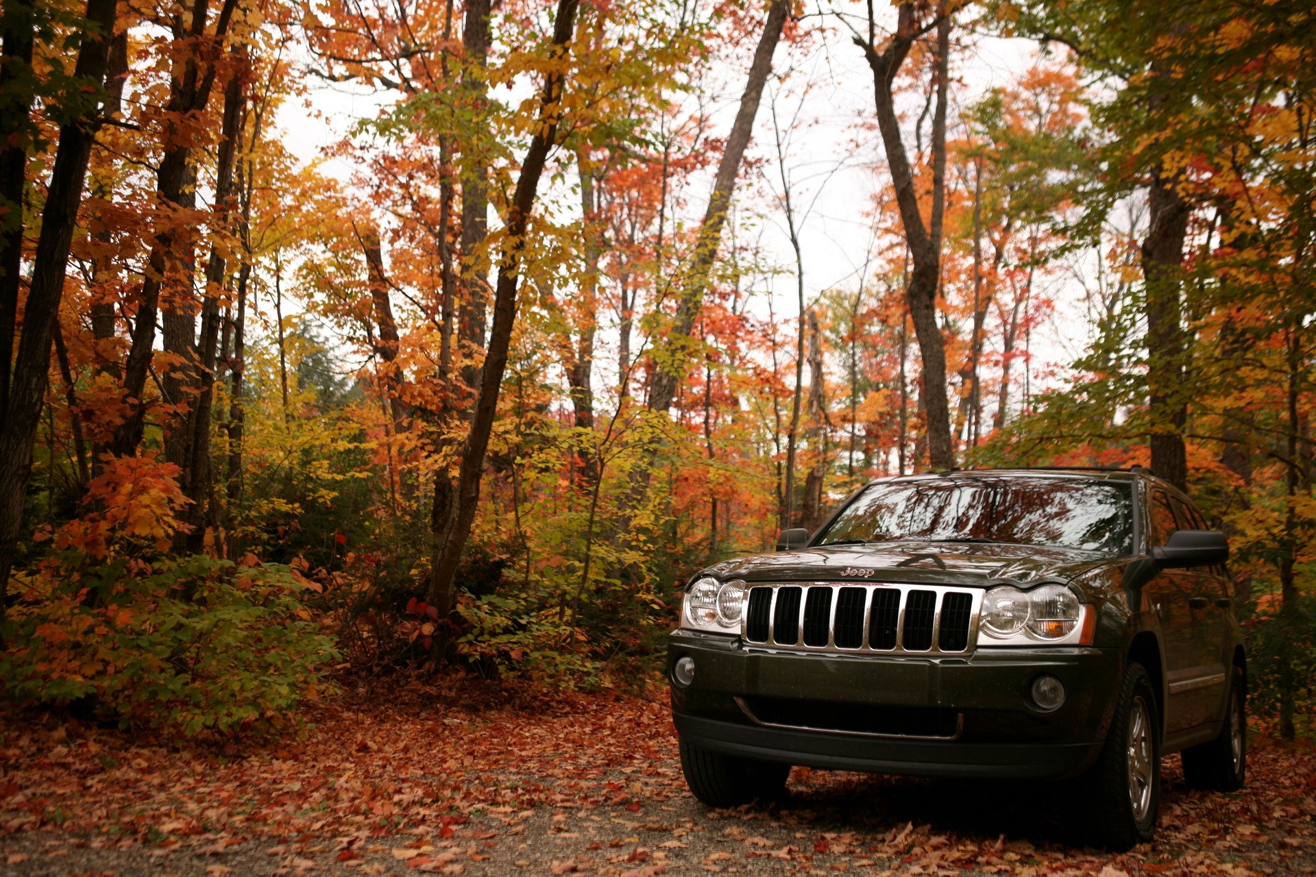 Jeep Grand Cherokee parked in autumn forest HD Wallpaper
