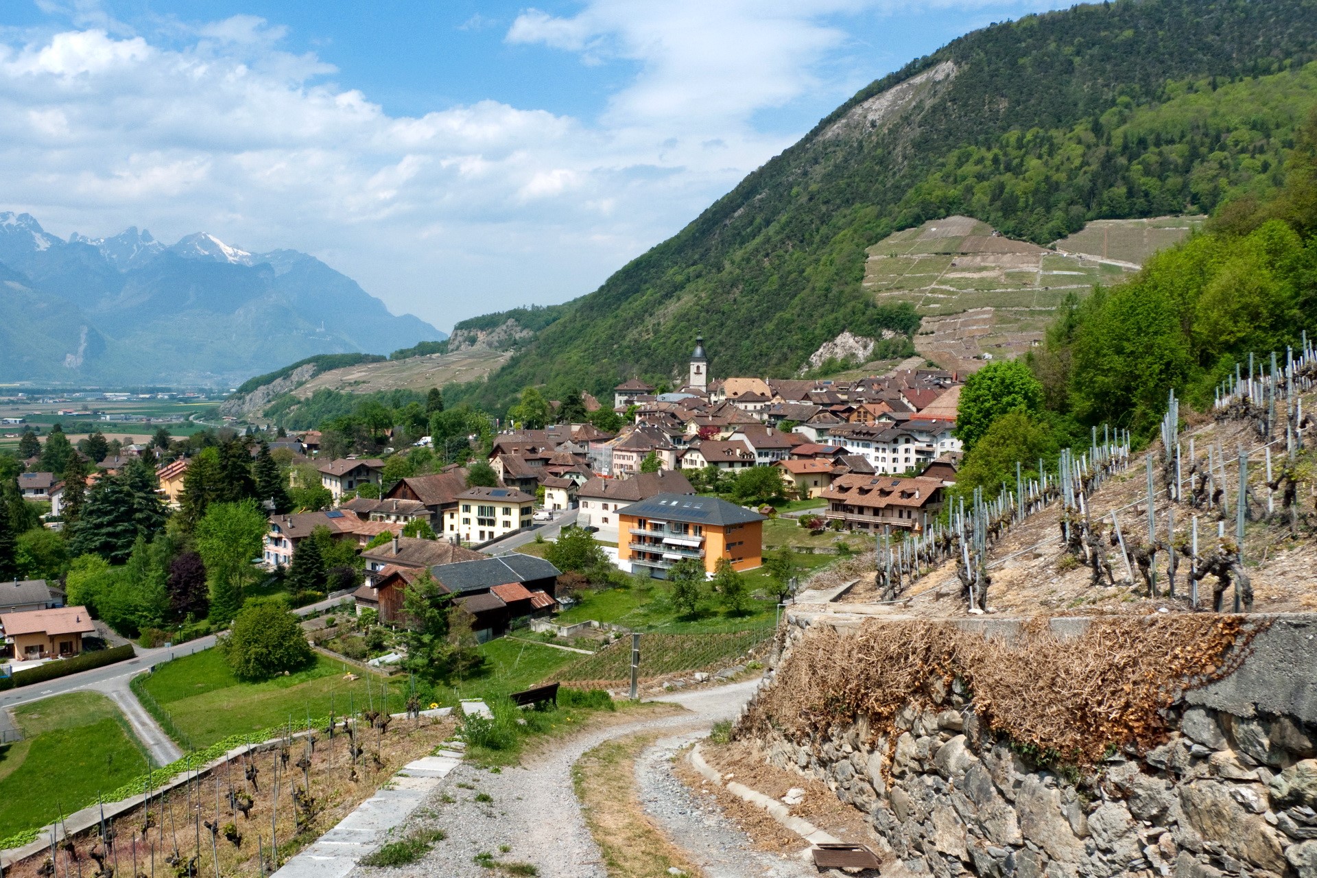 Ollon, Switzerland: Village nestled in a valley with vineyards and mountains HD Wallpaper