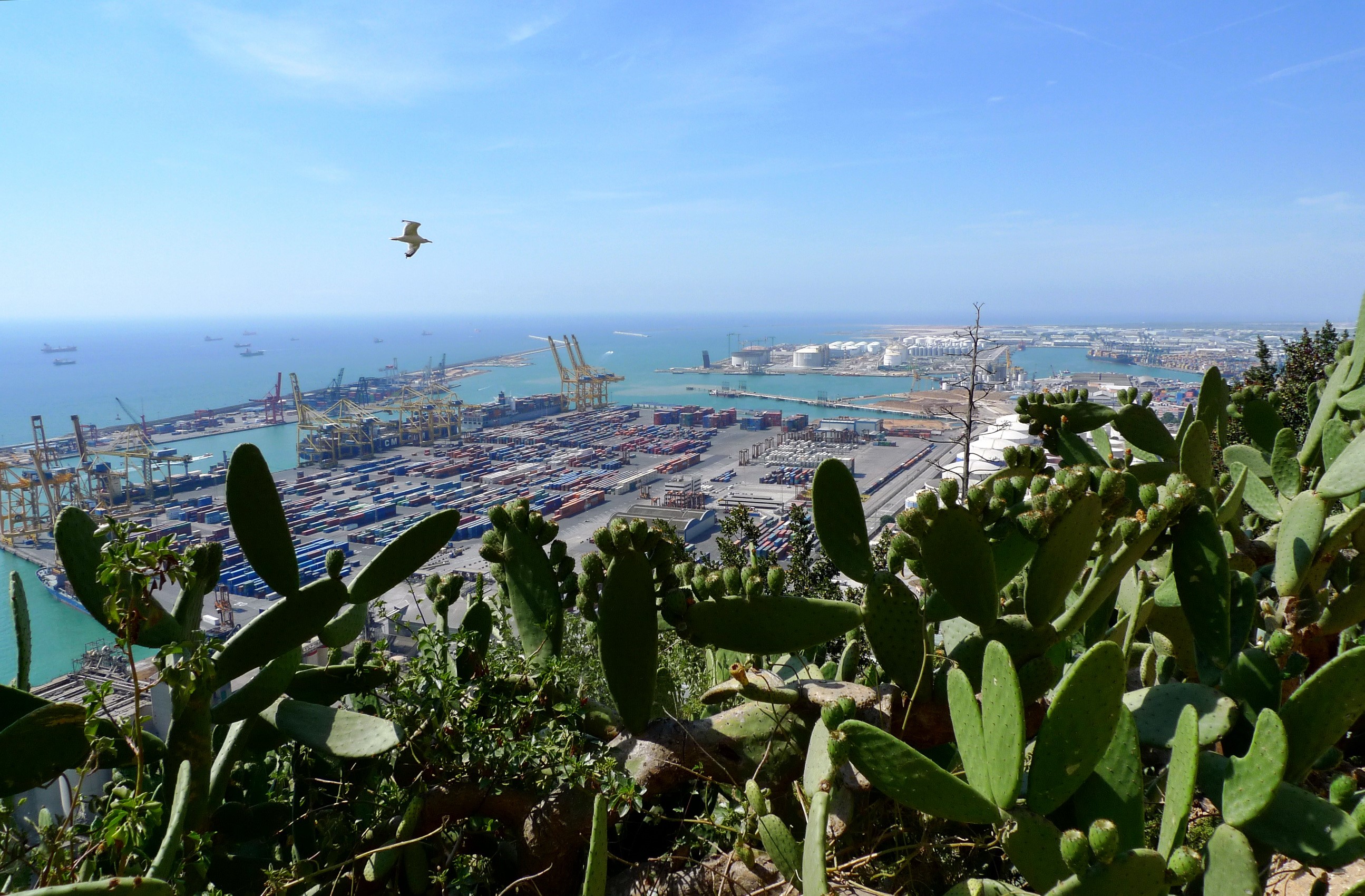 Barcelona Port with Cacti in Foreground HD Wallpaper