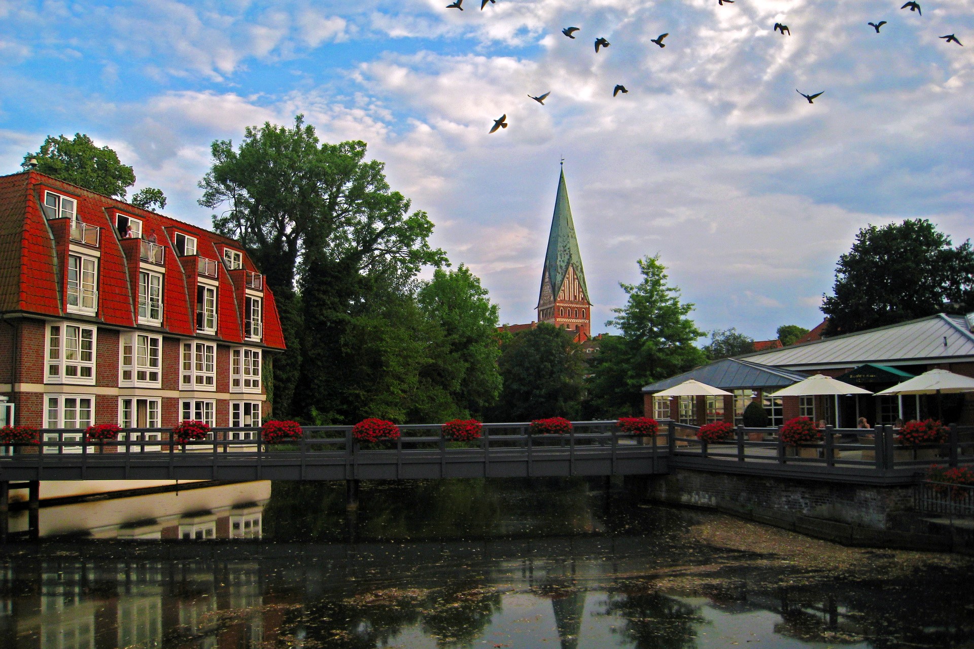 Germany building with church spire and birds flying HD Wallpaper