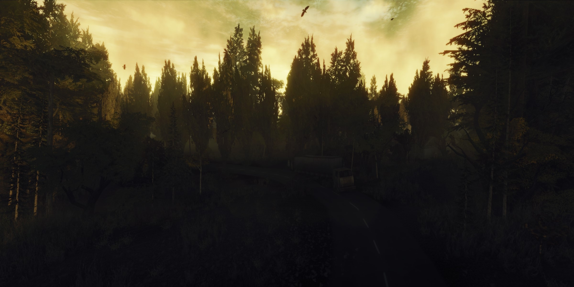 CryZone Online forest landscape with birds HD Wallpaper