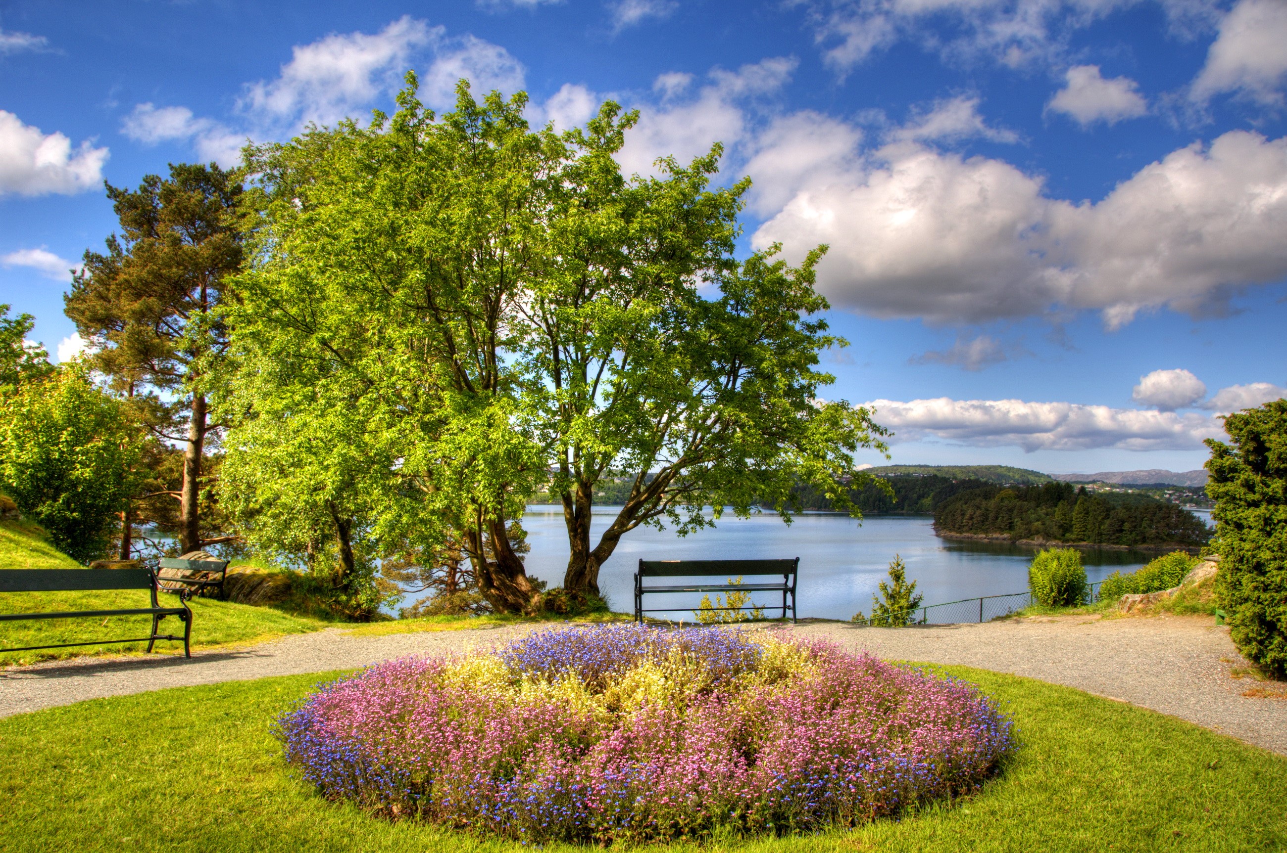 Park with flower bed and lake HD Wallpaper