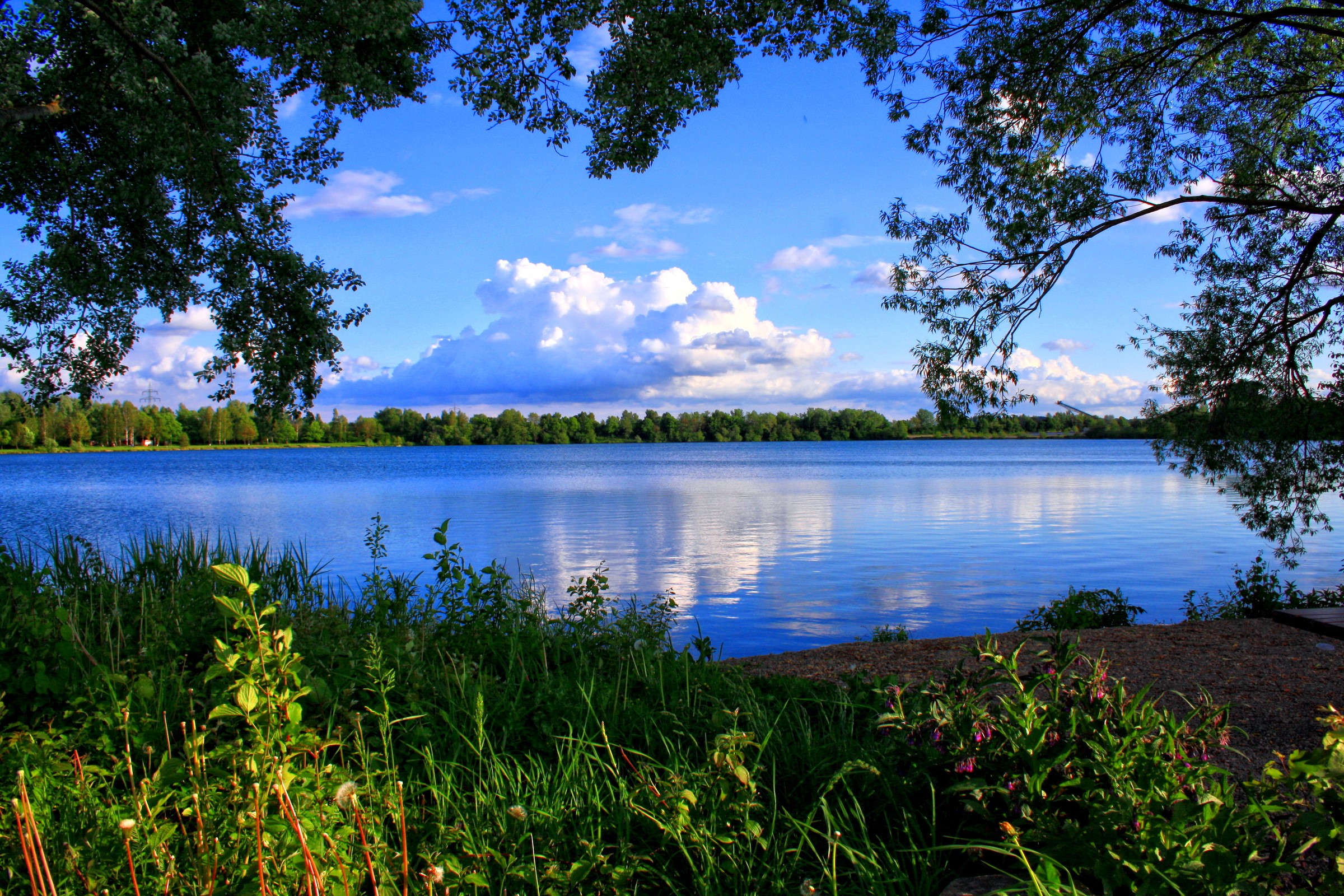 Lake with trees and clouds HD Wallpaper