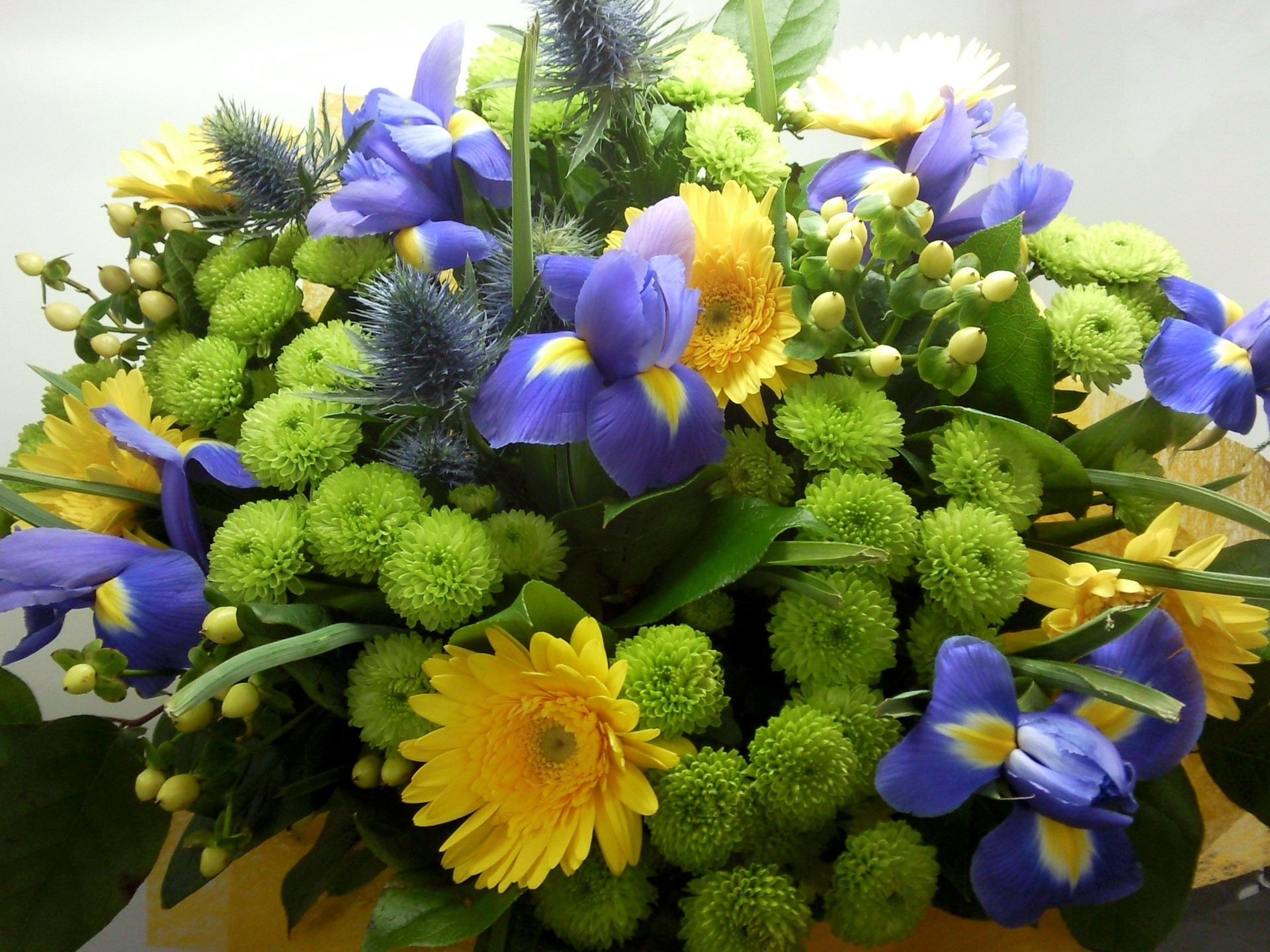 Bouquet of Irises, Gerbera Daisies, and Thistles HD Wallpaper
