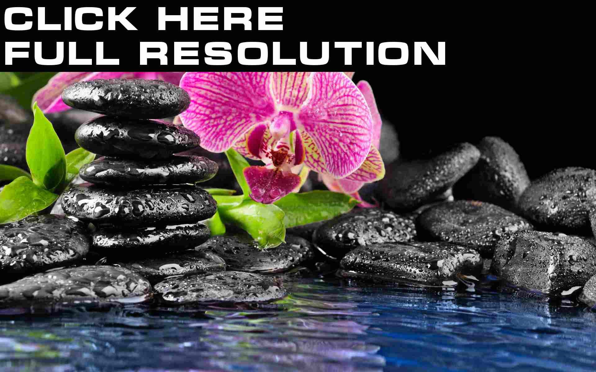 Zen stones and orchid with water HD Wallpaper