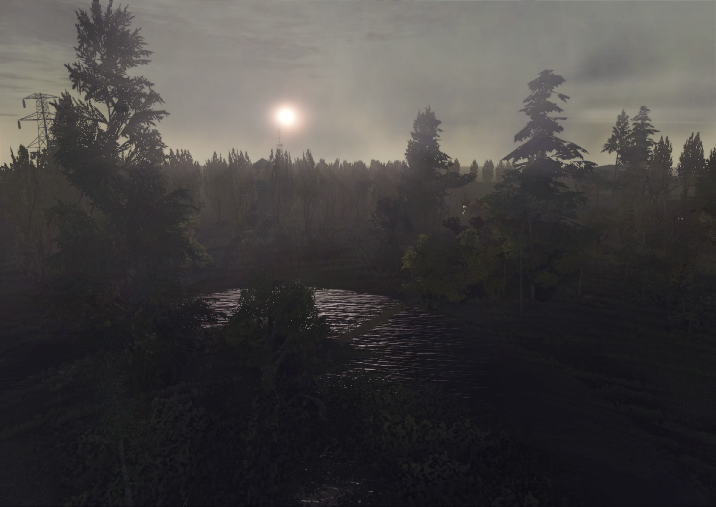 CryZone Online forest landscape with sun and power lines HD Wallpaper