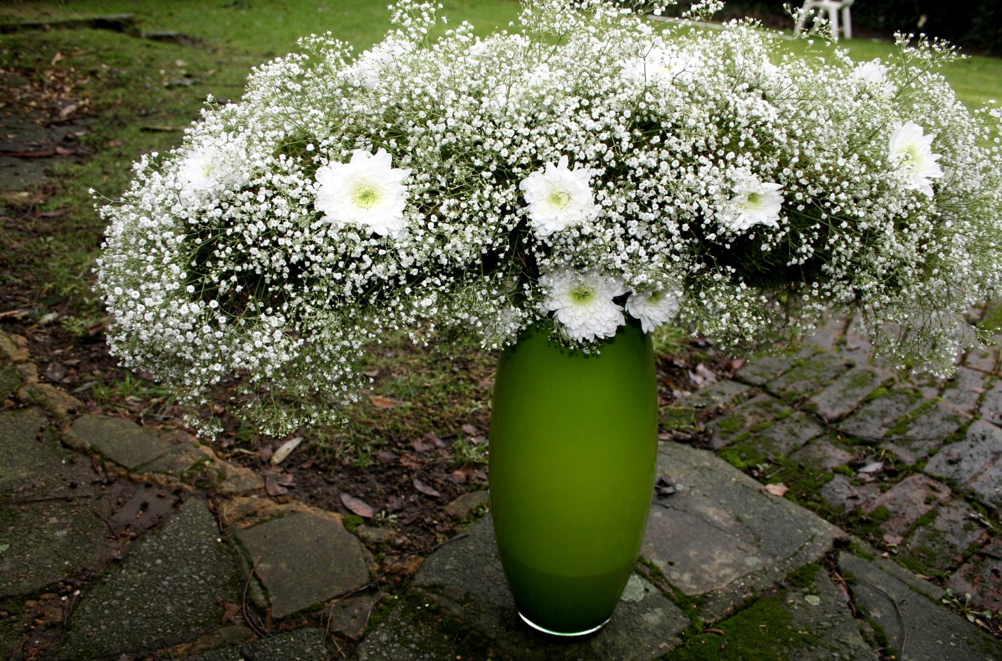 White flowers in a green vase HD Wallpaper