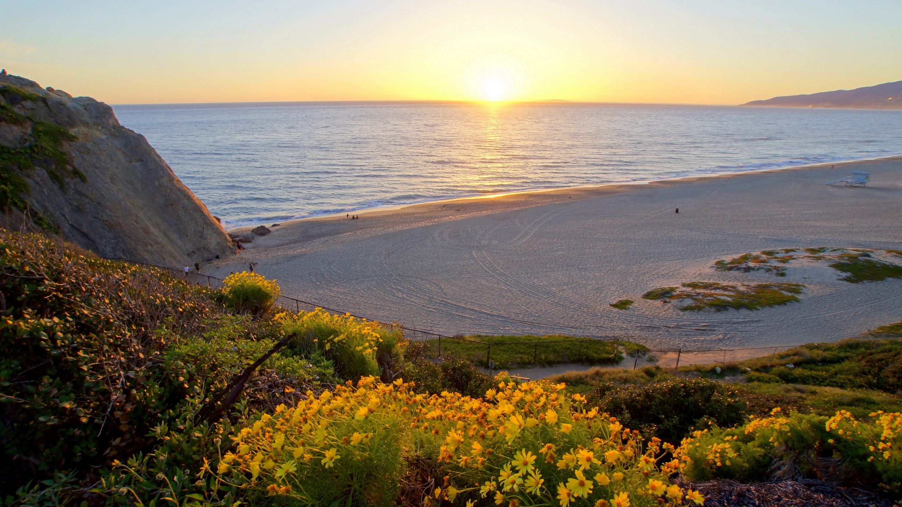 Sunset over a beach with wildflowers in the foreground HD Wallpaper