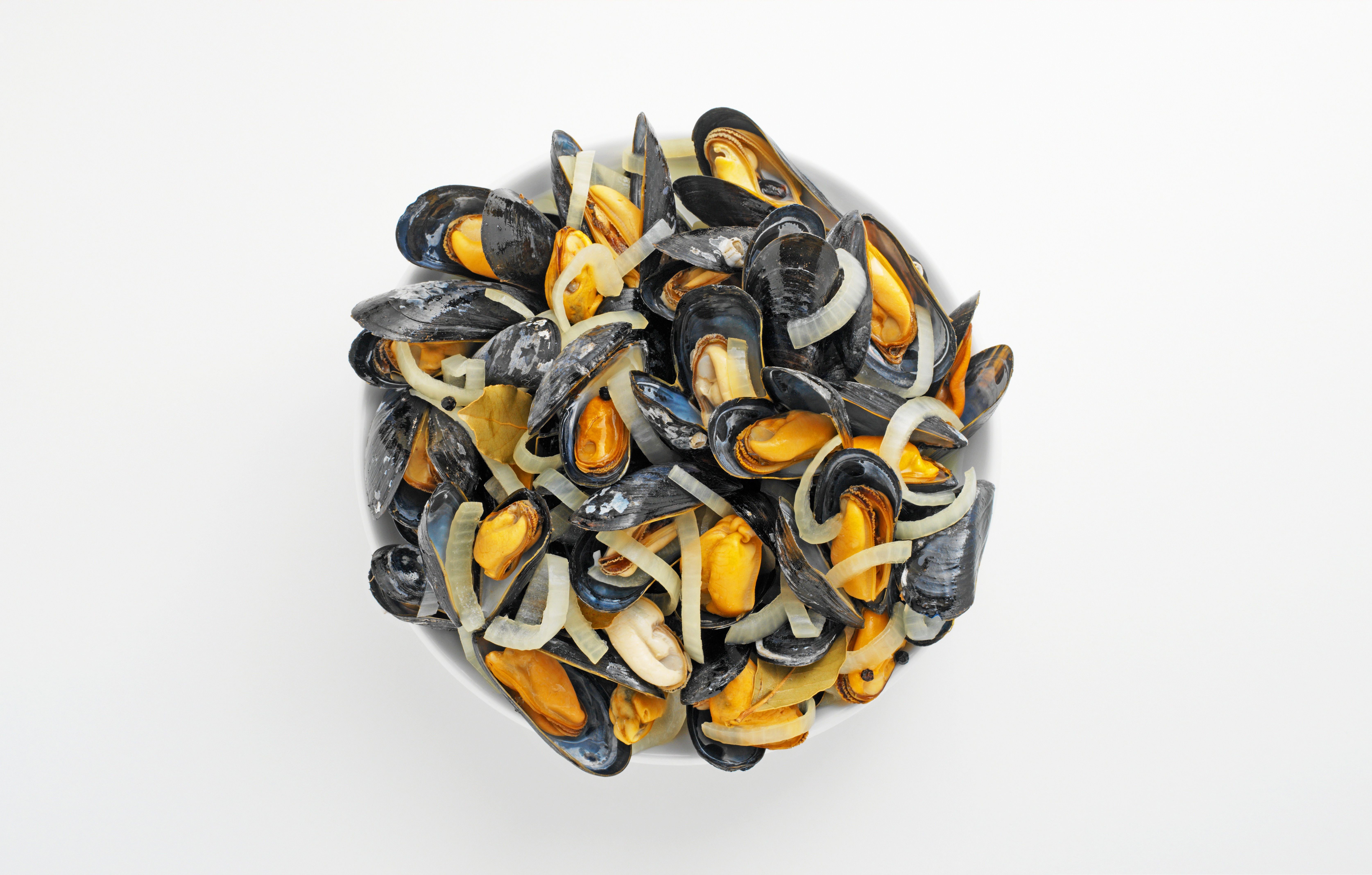 Bowl of Mussels with Onions HD Wallpaper