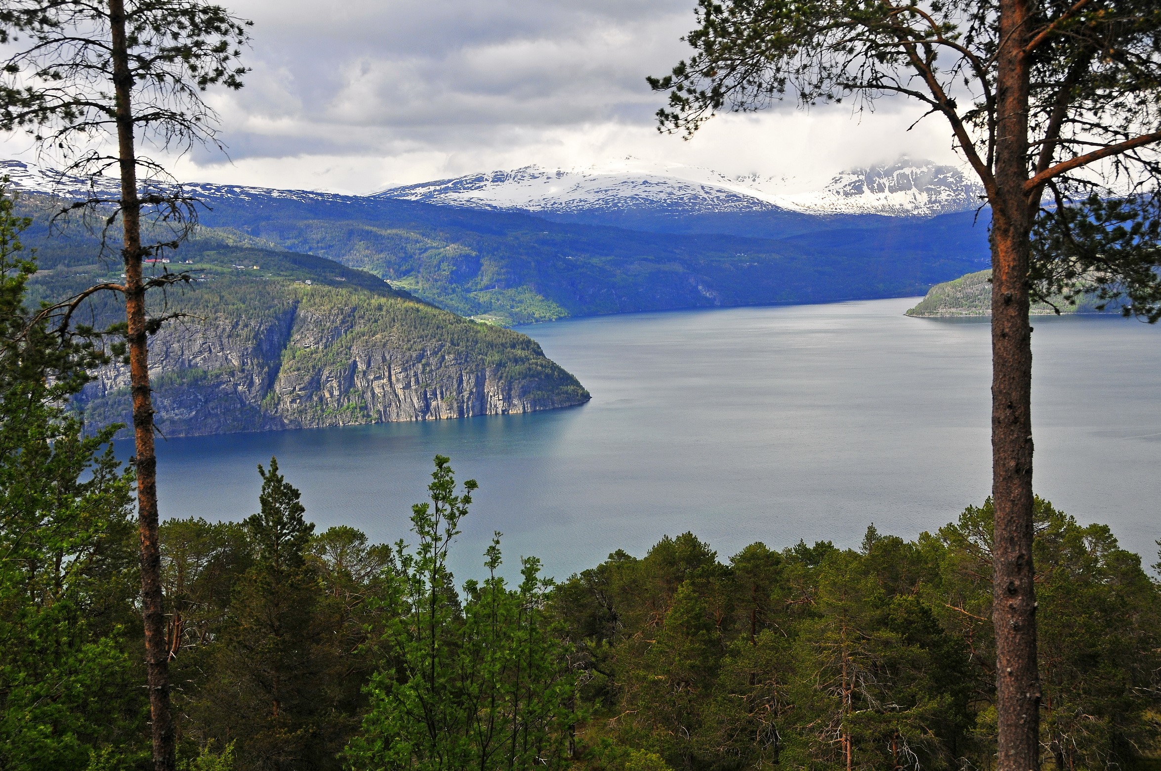 Fjord with snow-capped mountains and trees HD Wallpaper