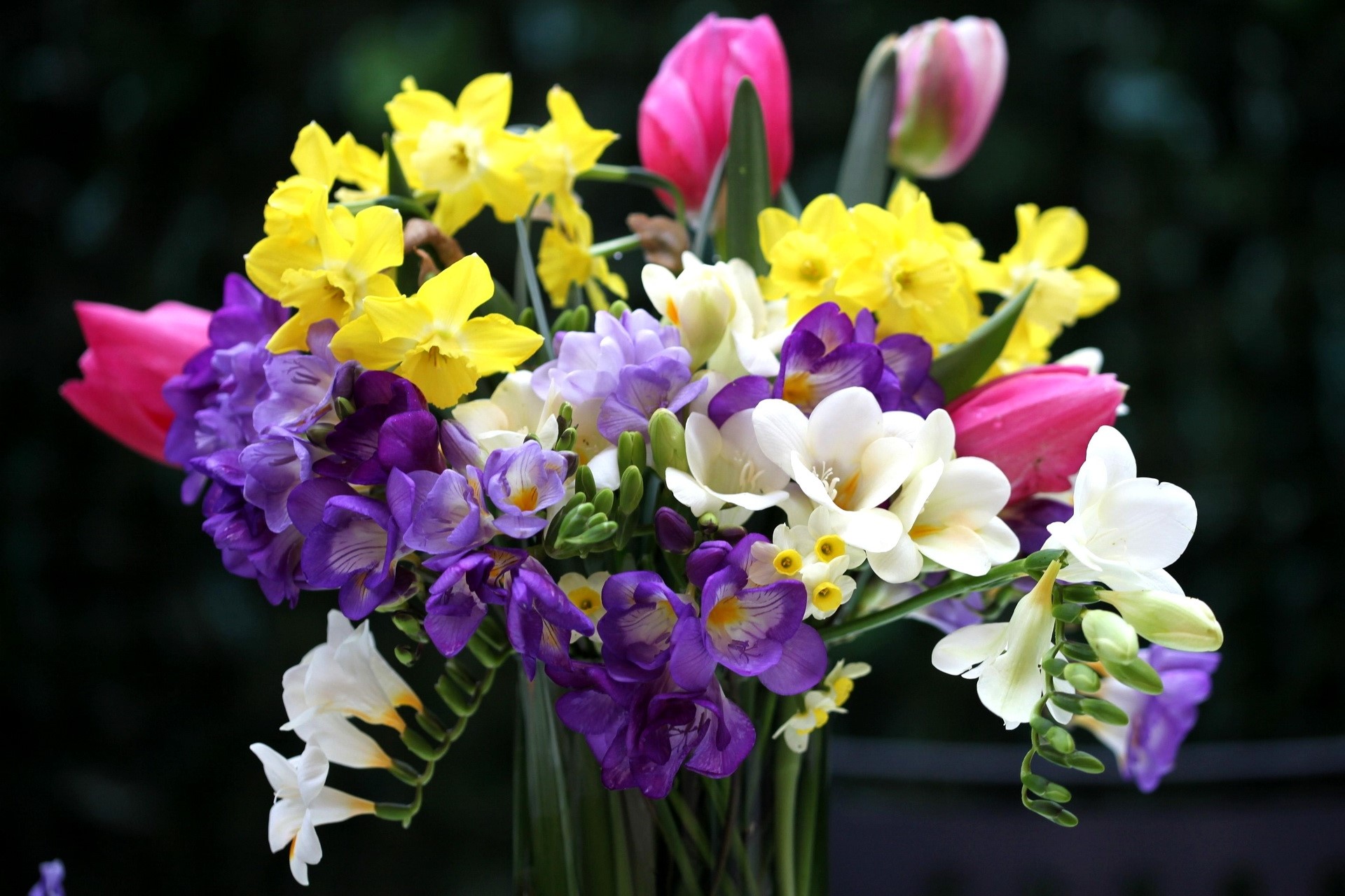 Bouquet of Spring Flowers HD Wallpaper