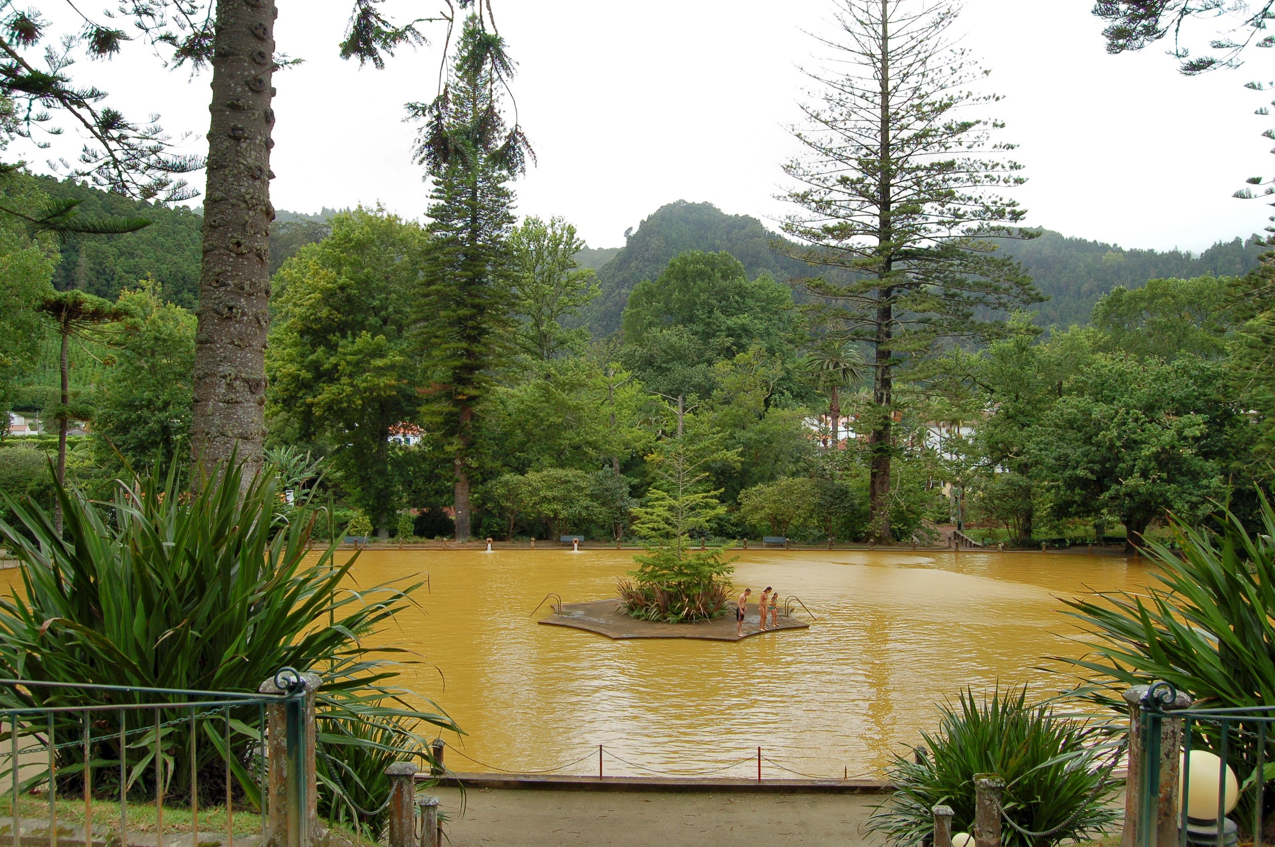 People in a park with a yellow pond and trees HD Wallpaper