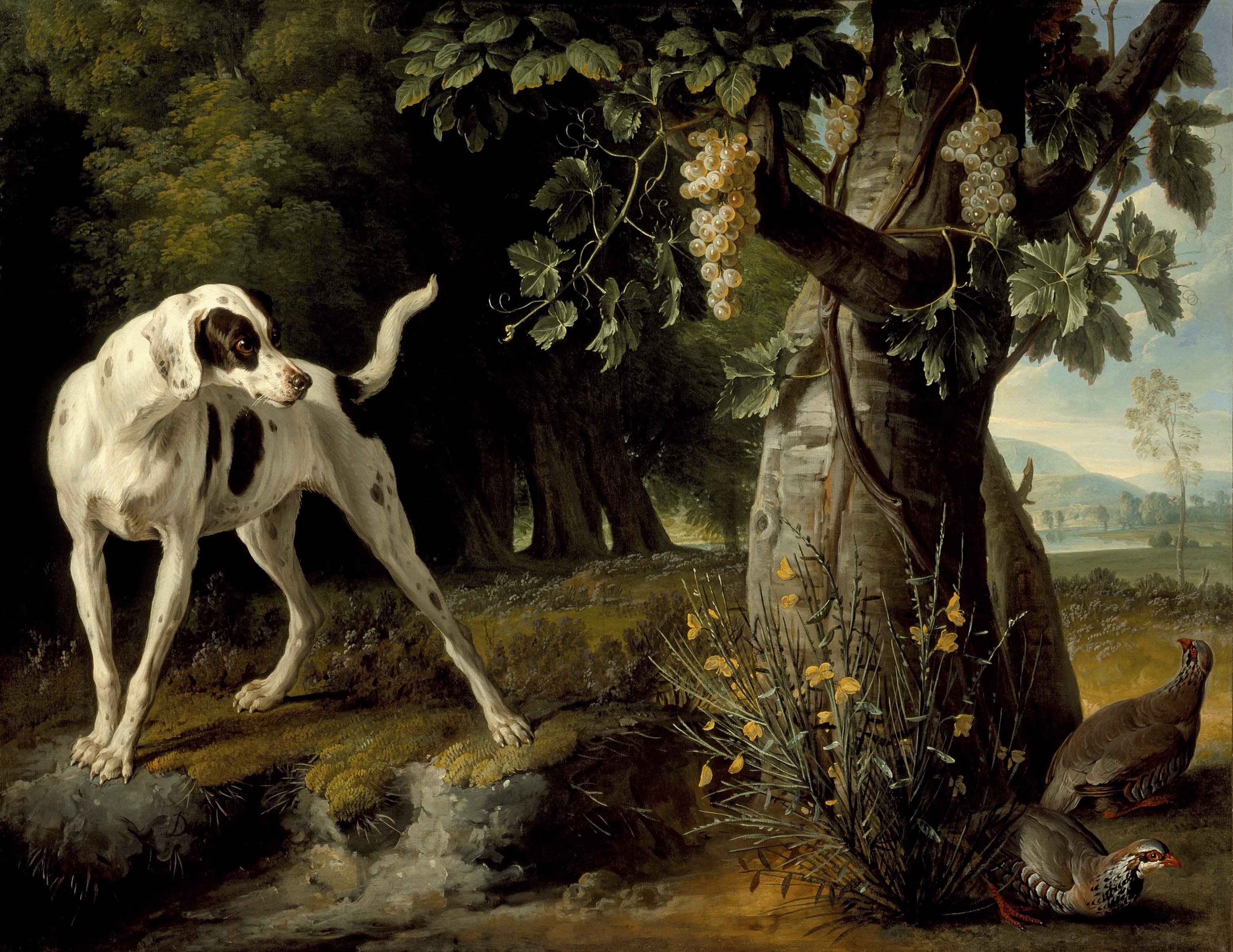 Landscape with a Dog and Partridges by Alexandre Francois Desportes HD Wallpaper
